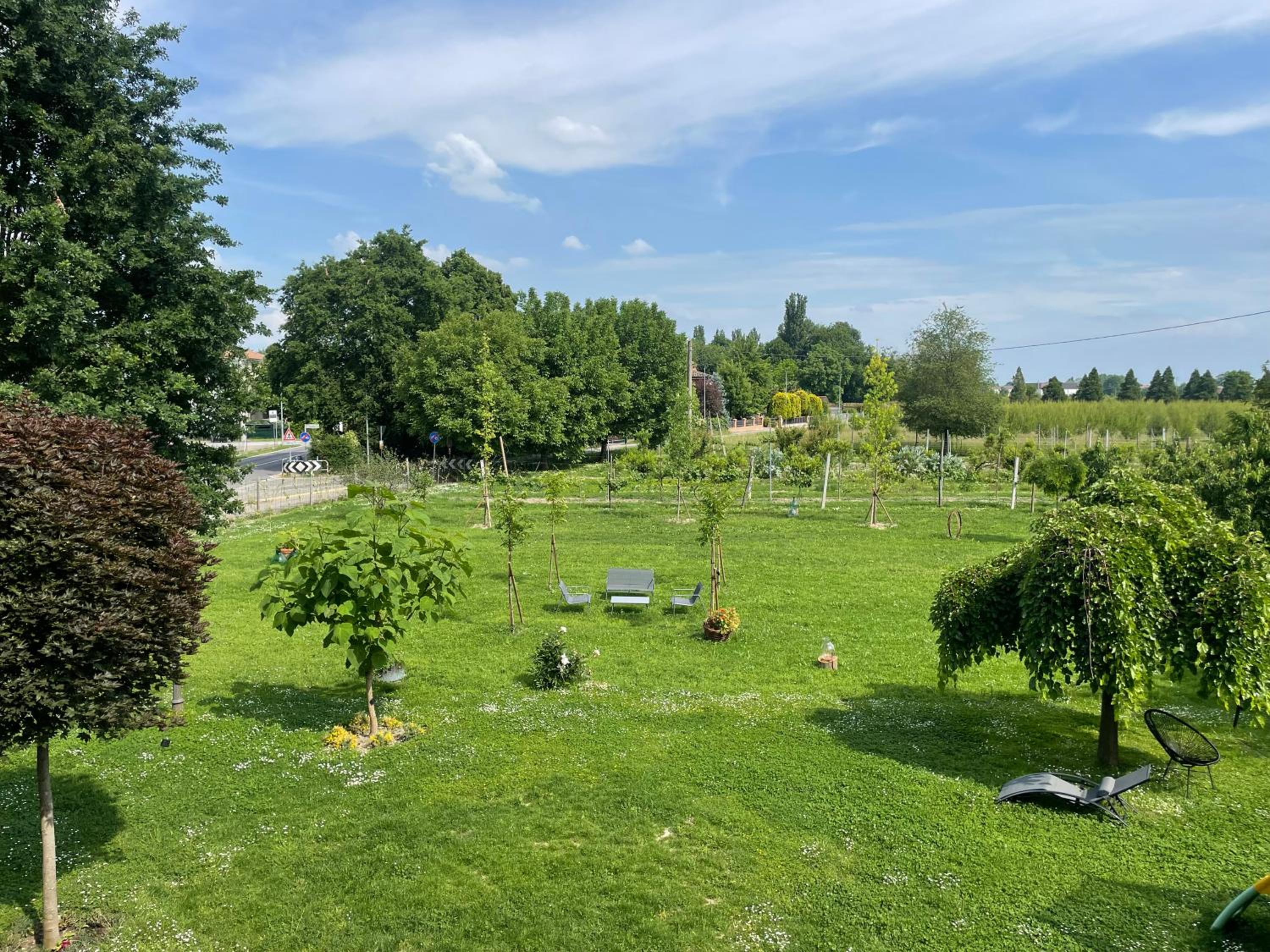Gocce balsamiche