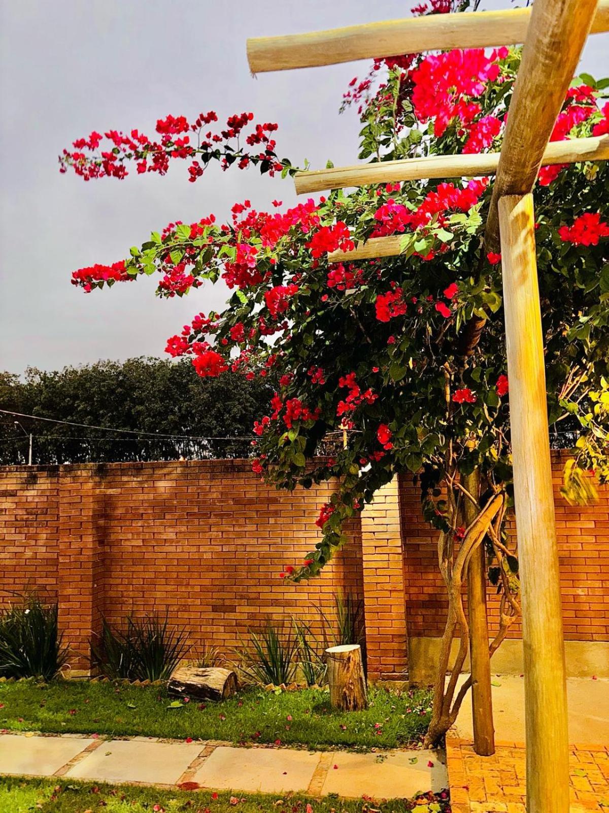 Casa ecológica temporada