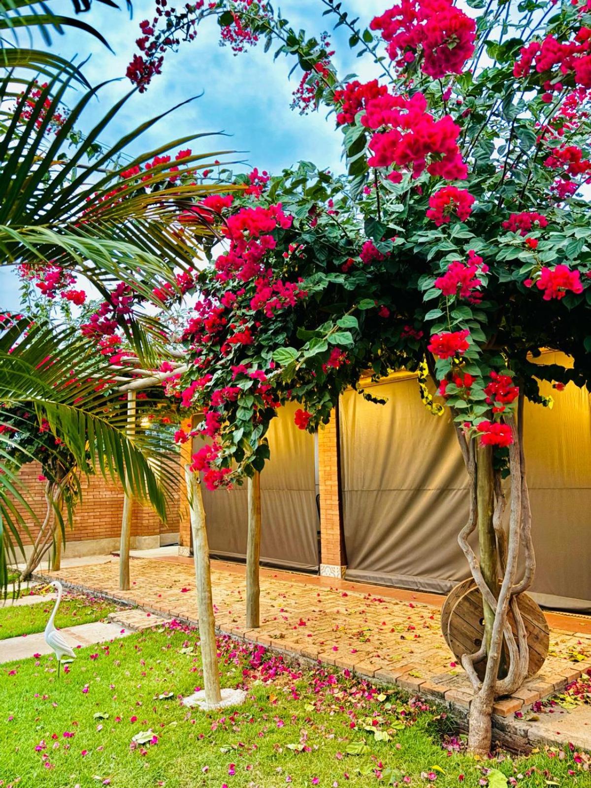 Casa ecológica temporada
