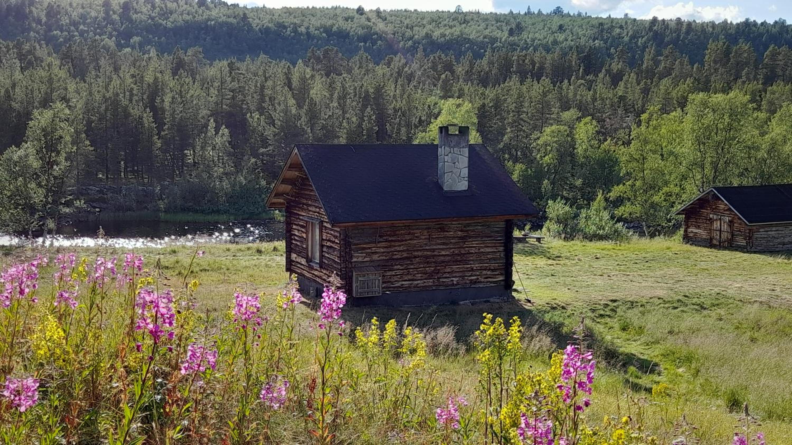 Leppälän vanhatupa rantasaunalla