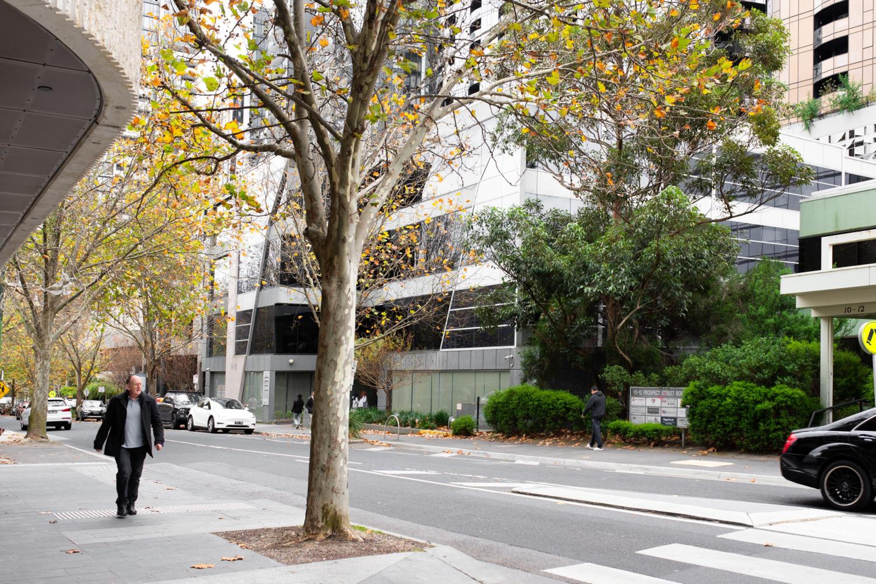 Apartment next to public station, BoxHill Central, 2 Bedrooms, free parking and wifi