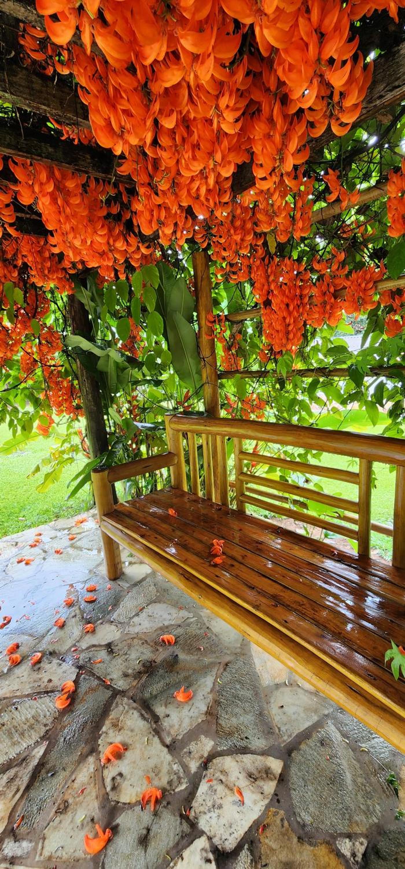 A Sua Casa de Campo na Chapada