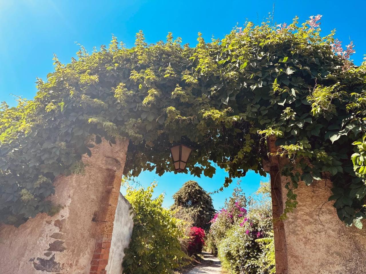 Villa Tiche view 4