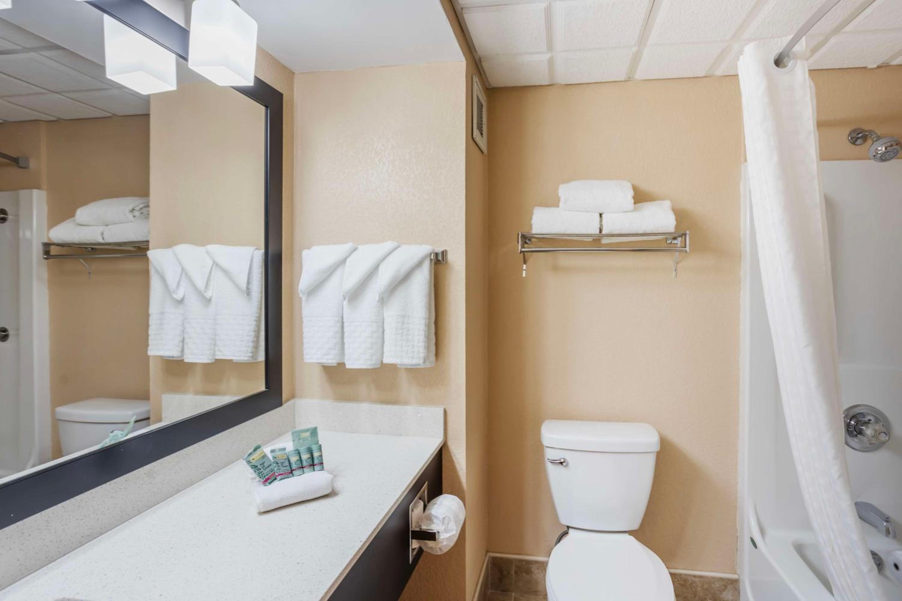 Best Western Inn at Blakeslee-Pocono - Property Image 35