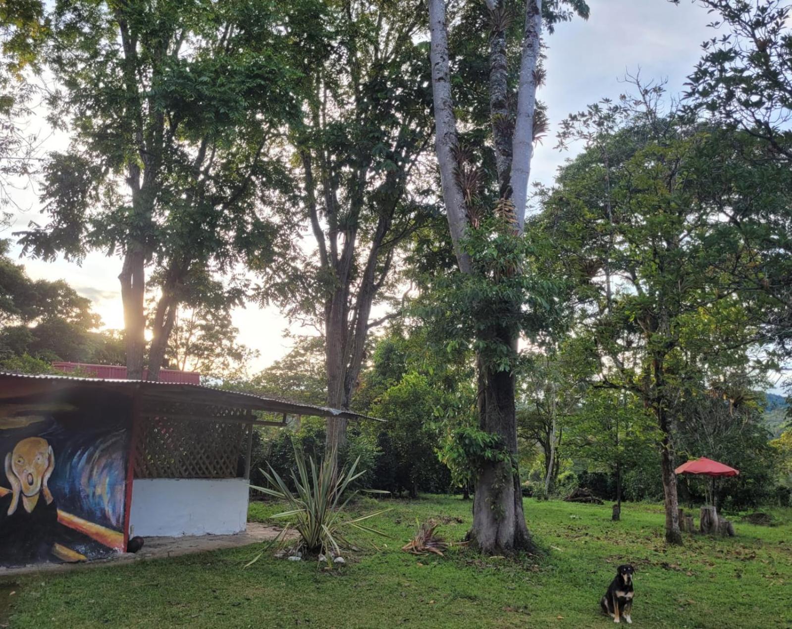 Finca La Rivera