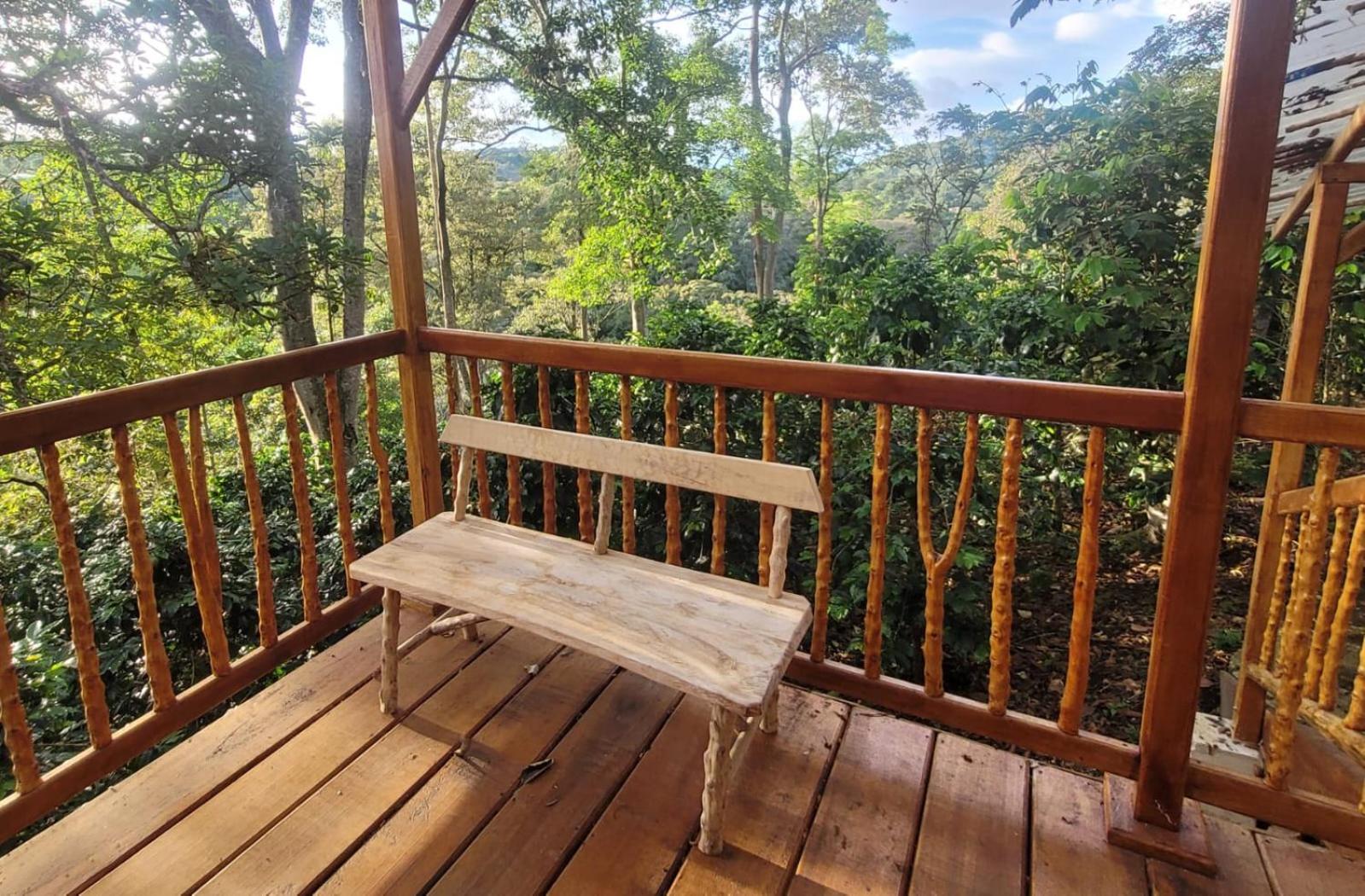 Finca La Rivera