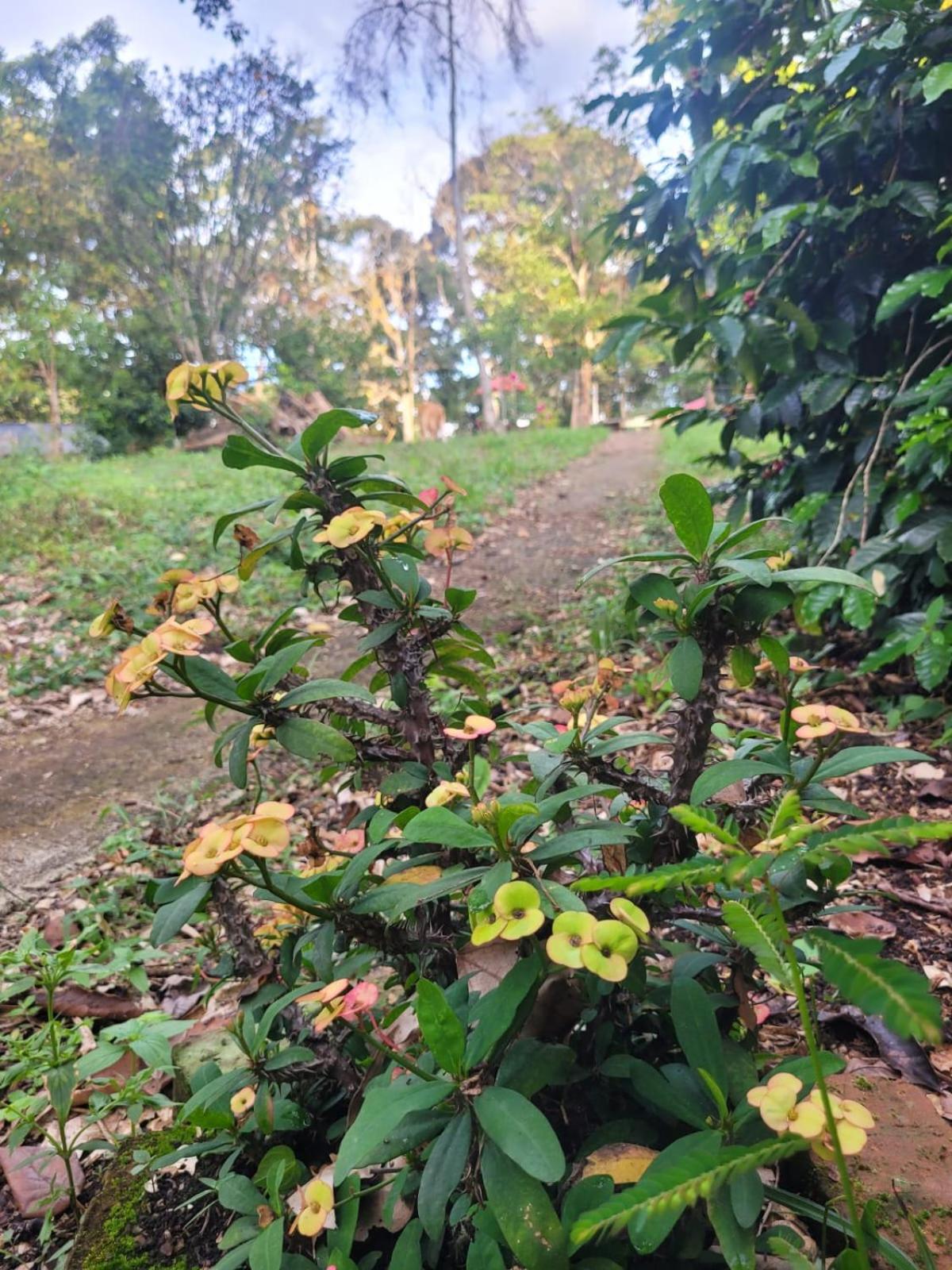Finca La Rivera