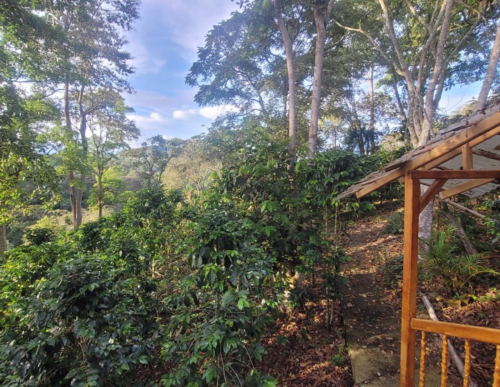 Finca La Rivera