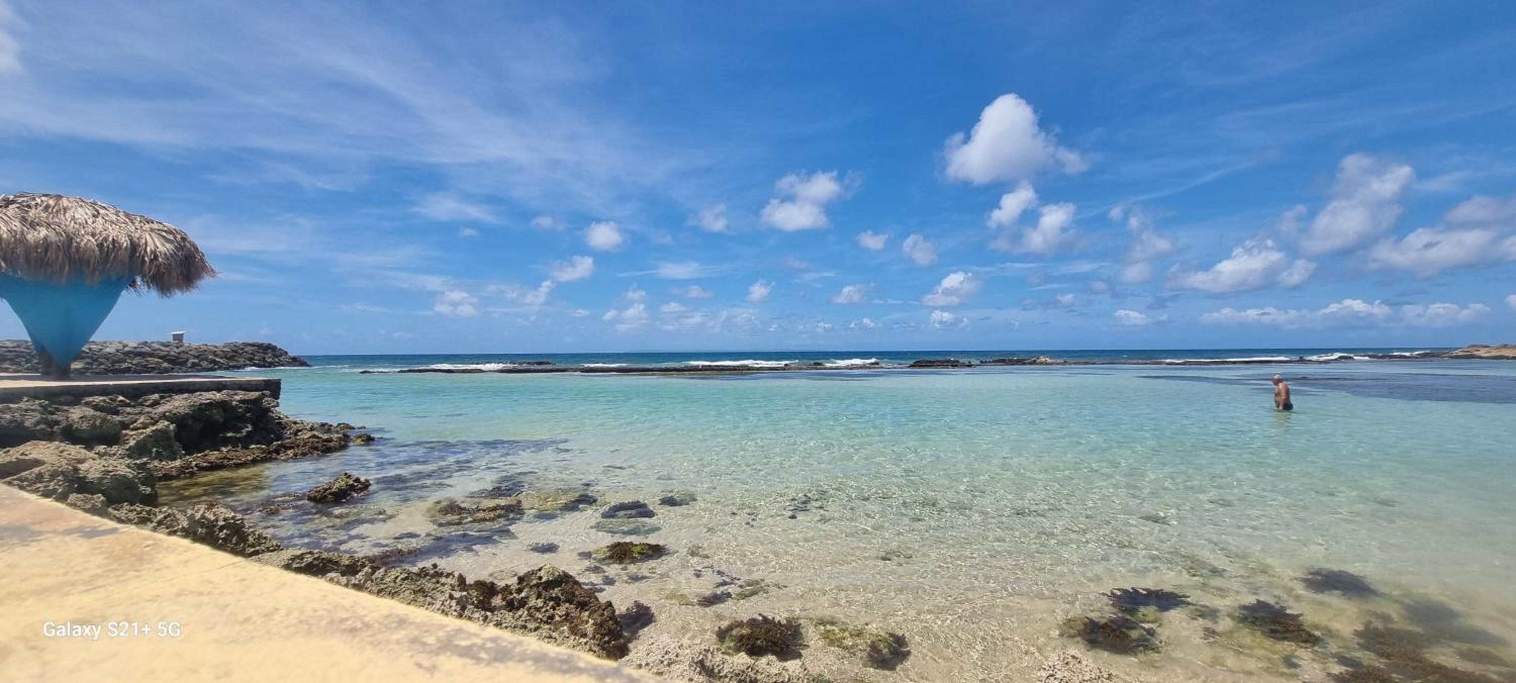 MangoSoleil