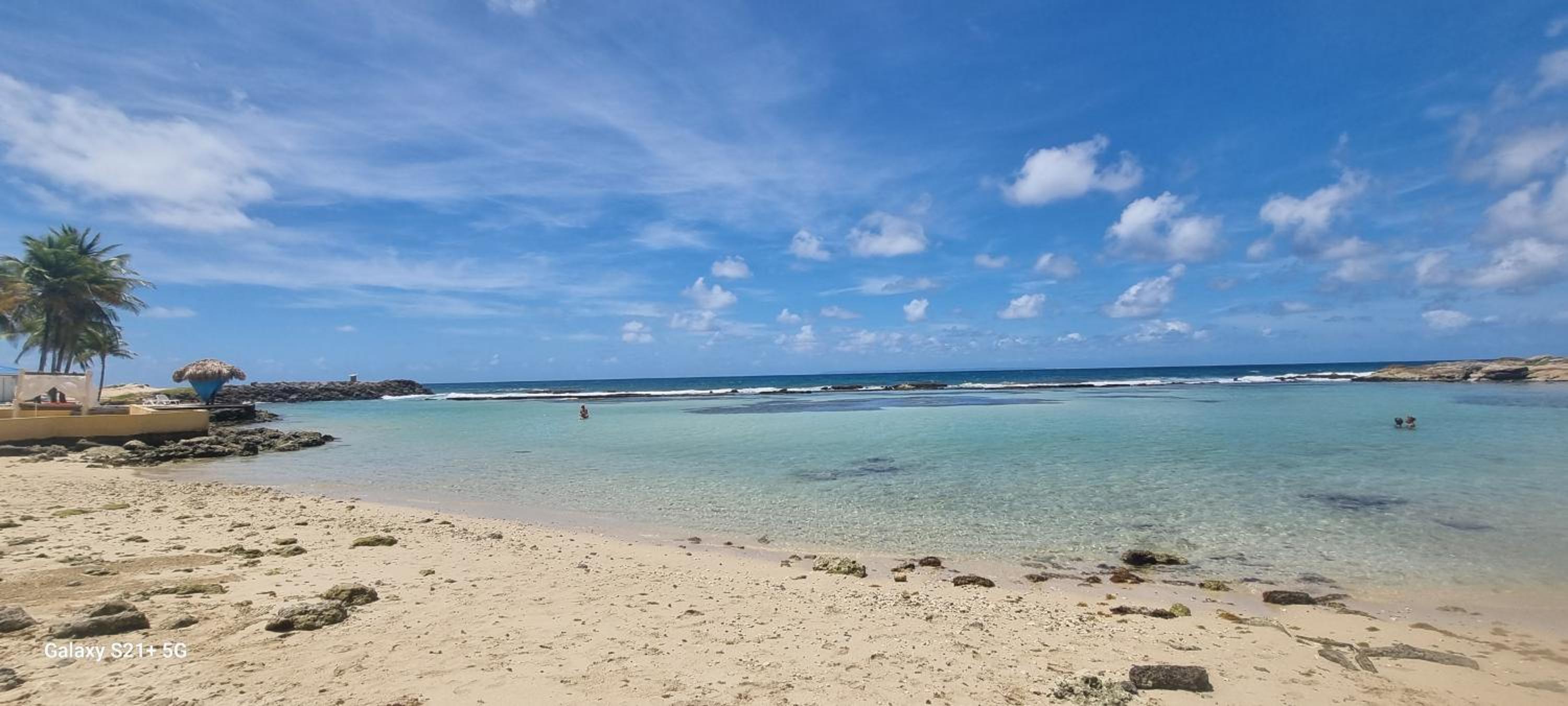 MangoSoleil