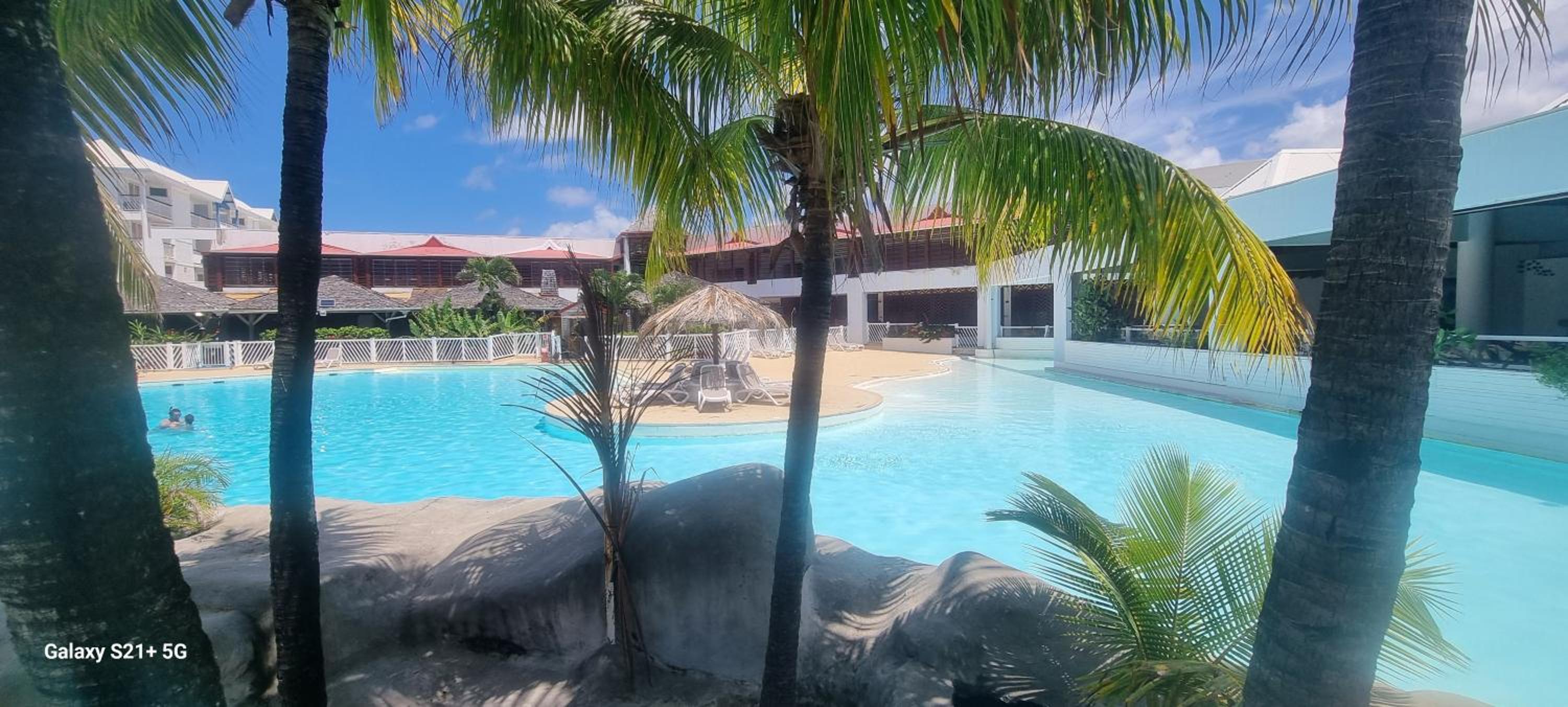 MangoSoleil