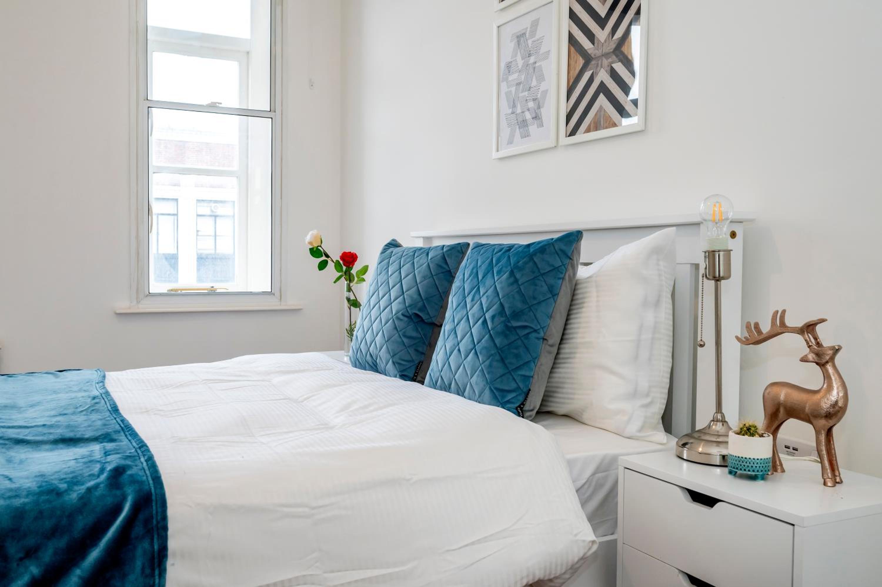 Beautiful Flat Near the Center 11 min by tube