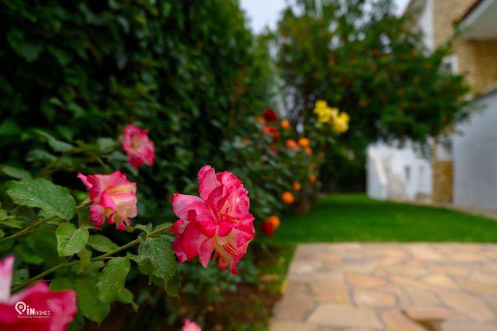 Photo 62