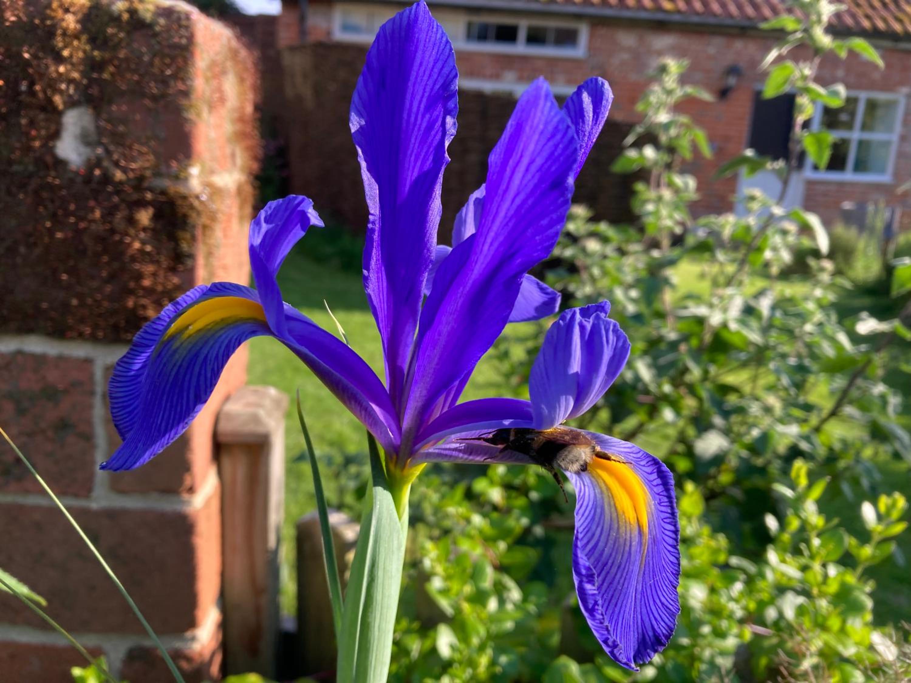 Photo 54