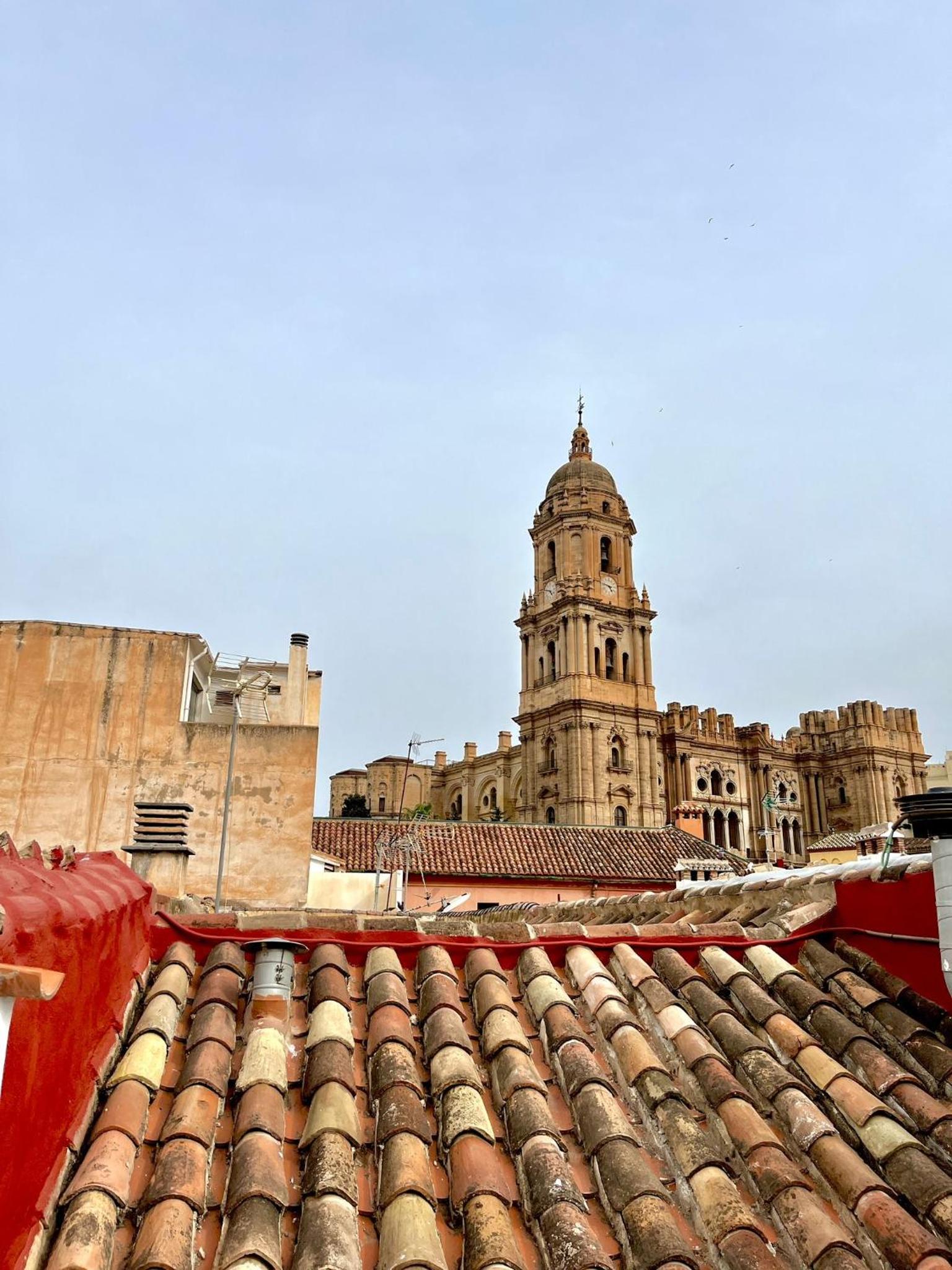 Luxury Apartments Chinitas 11