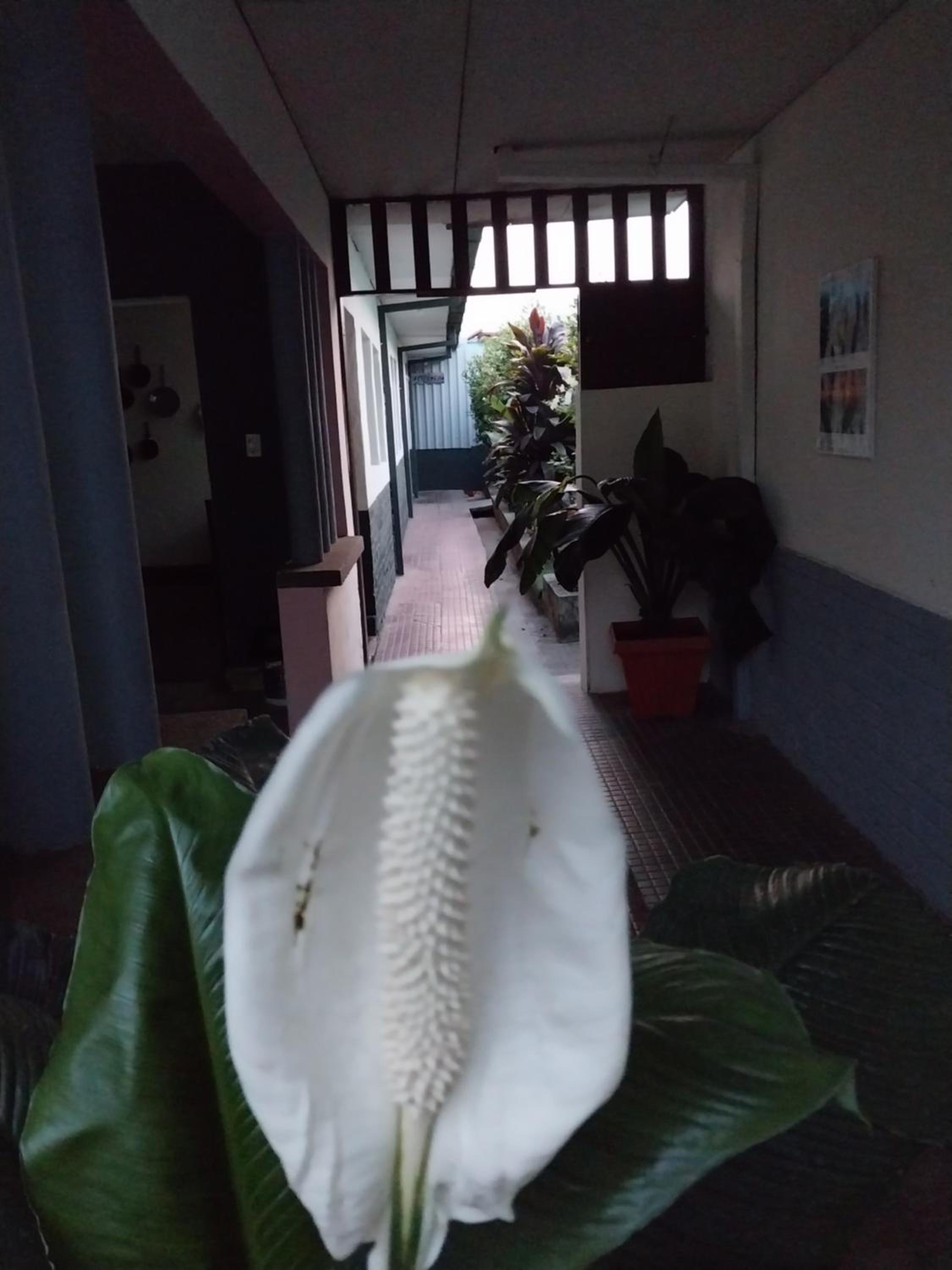 Hostal casa 25 view 2
