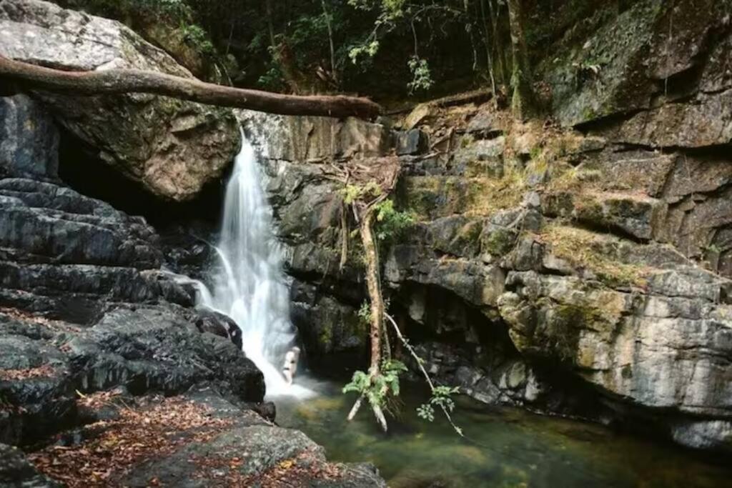 Tropical Timber Treetop Home 4BR swimming creek