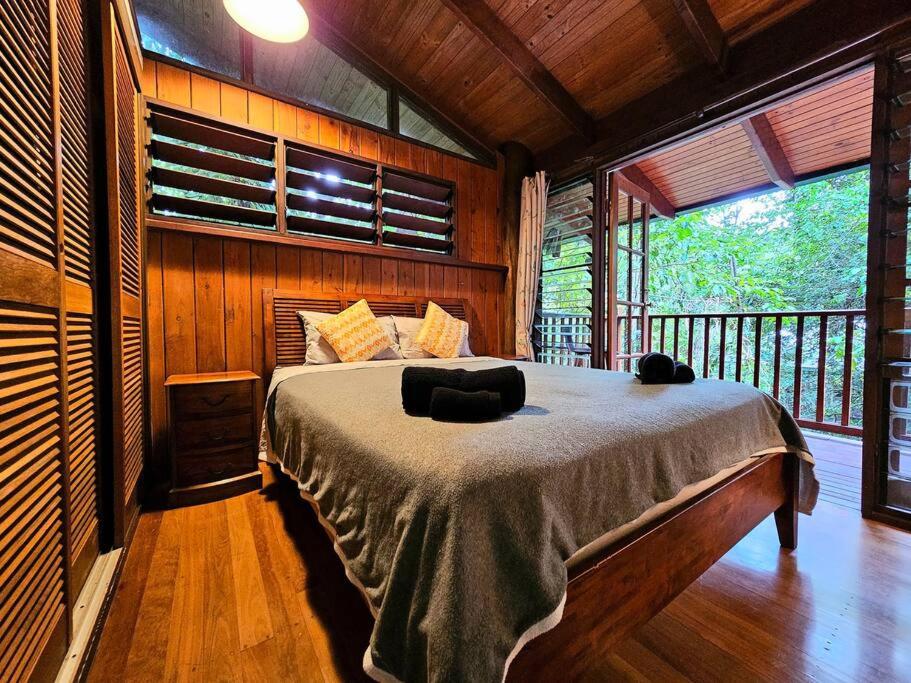 Tropical Timber Treetop Home 4BR swimming creek