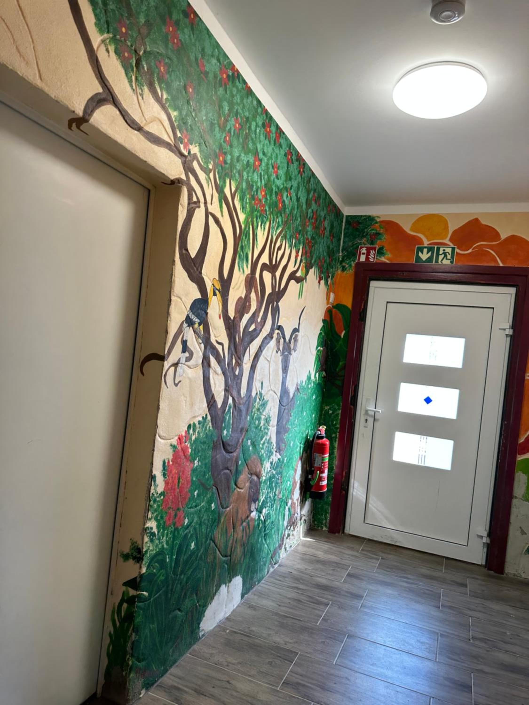 Ferien & Monteur Wohnung 1 - Little Afrika Extensive 5 Zimmer Wohnung