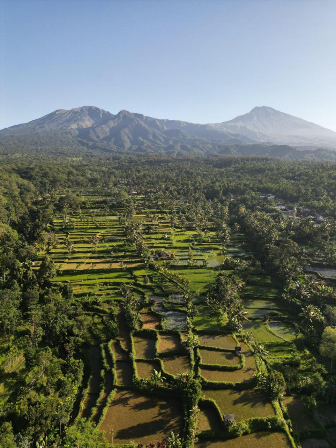 Tetebatu Fullmoon