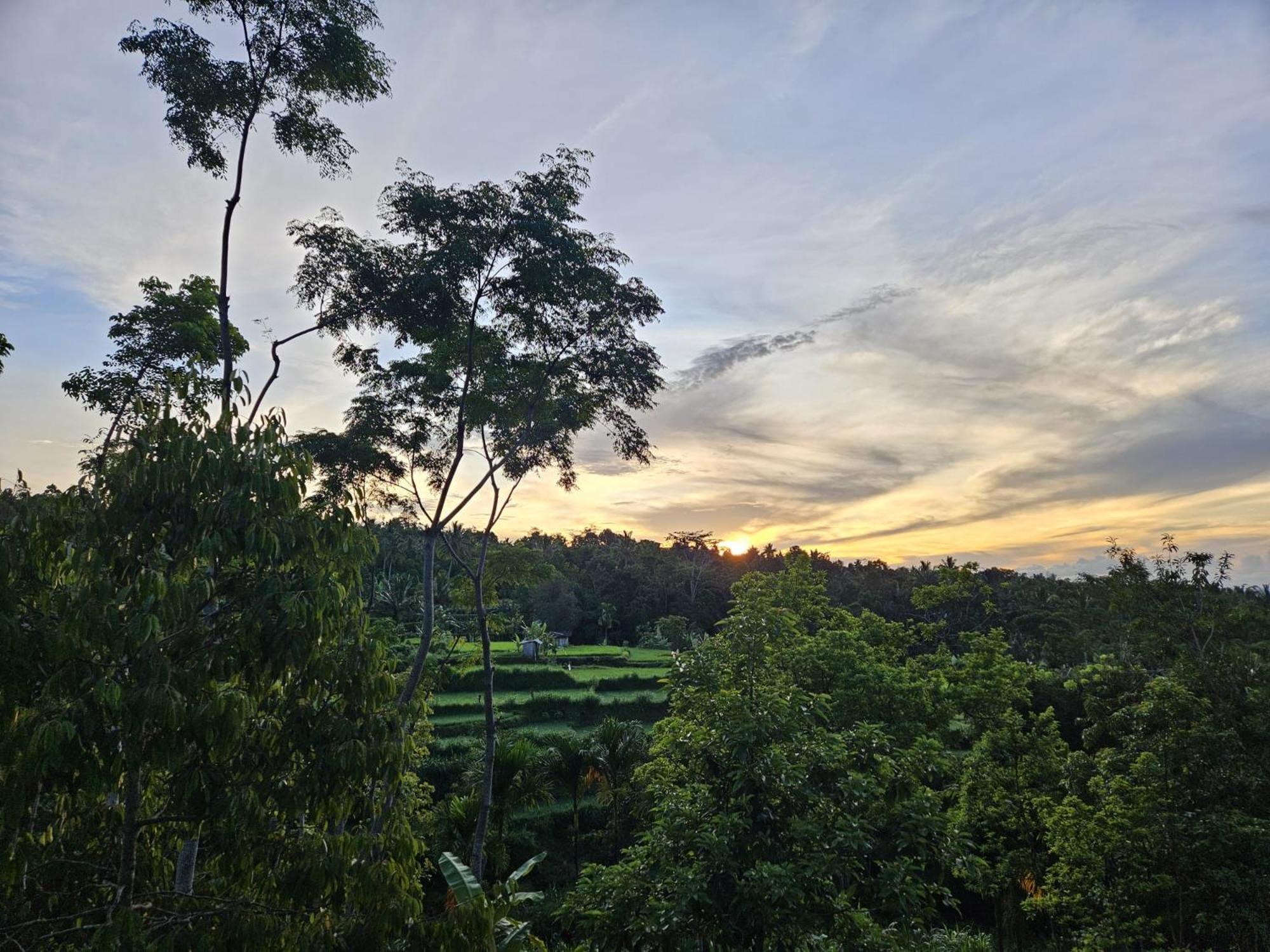 Tetebatu Fullmoon