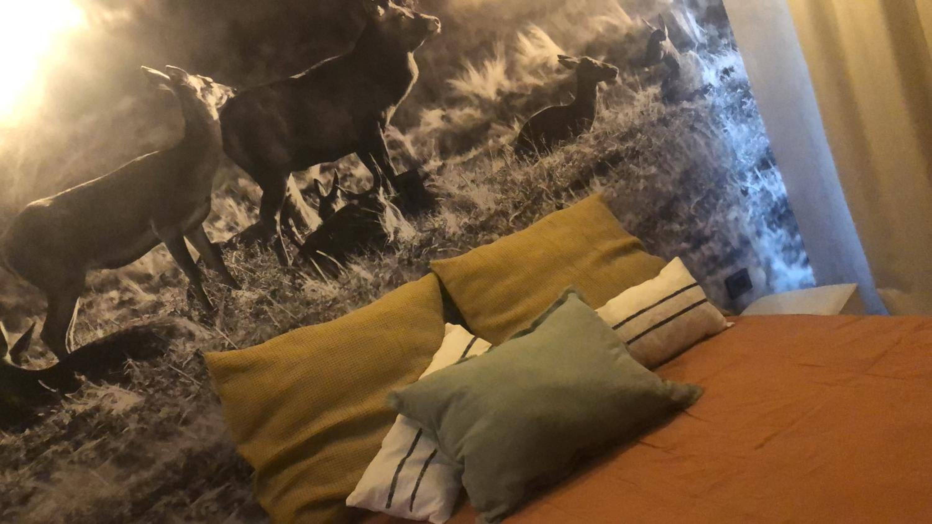 Arenas apart hotel