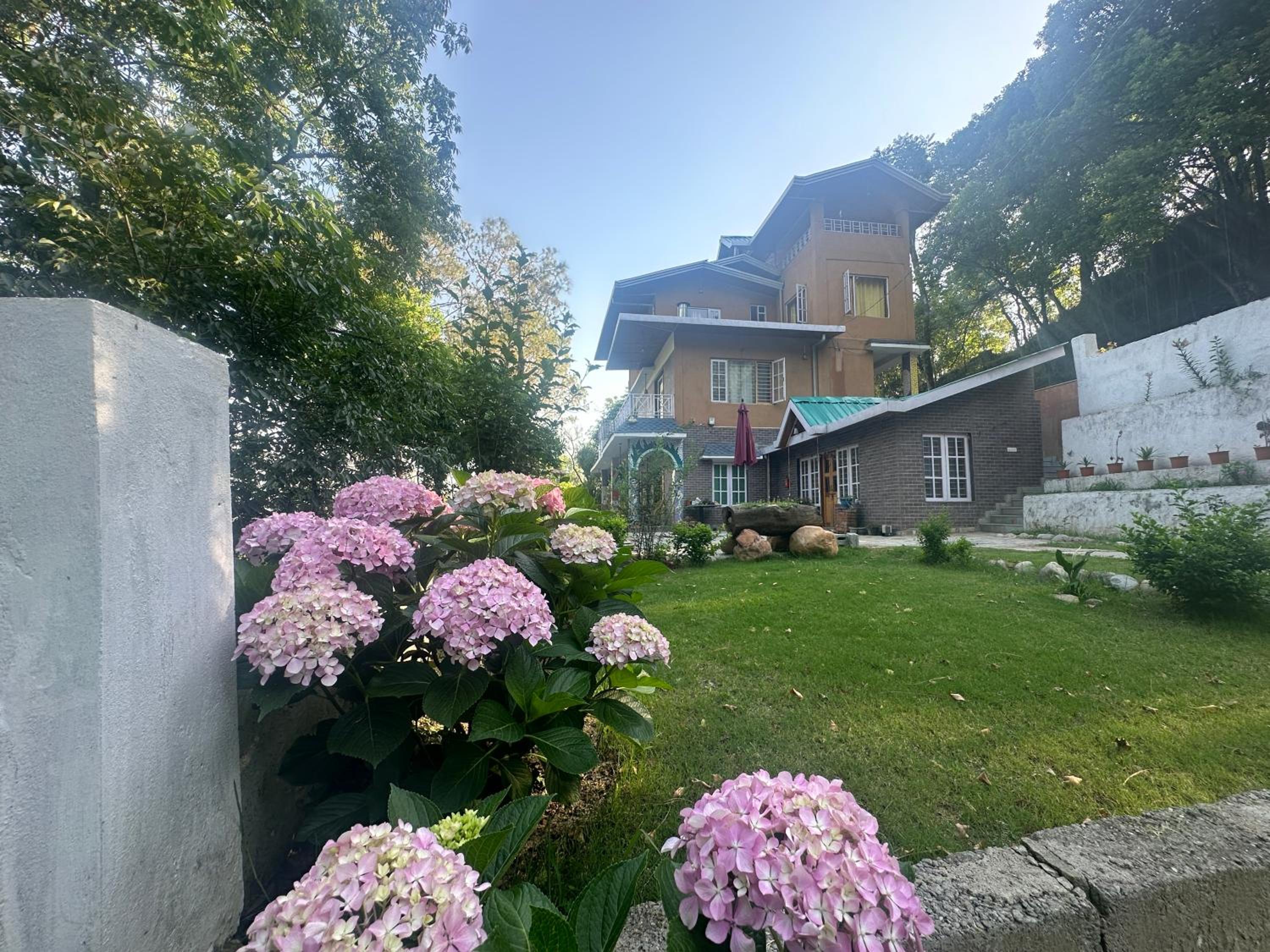Photo 18