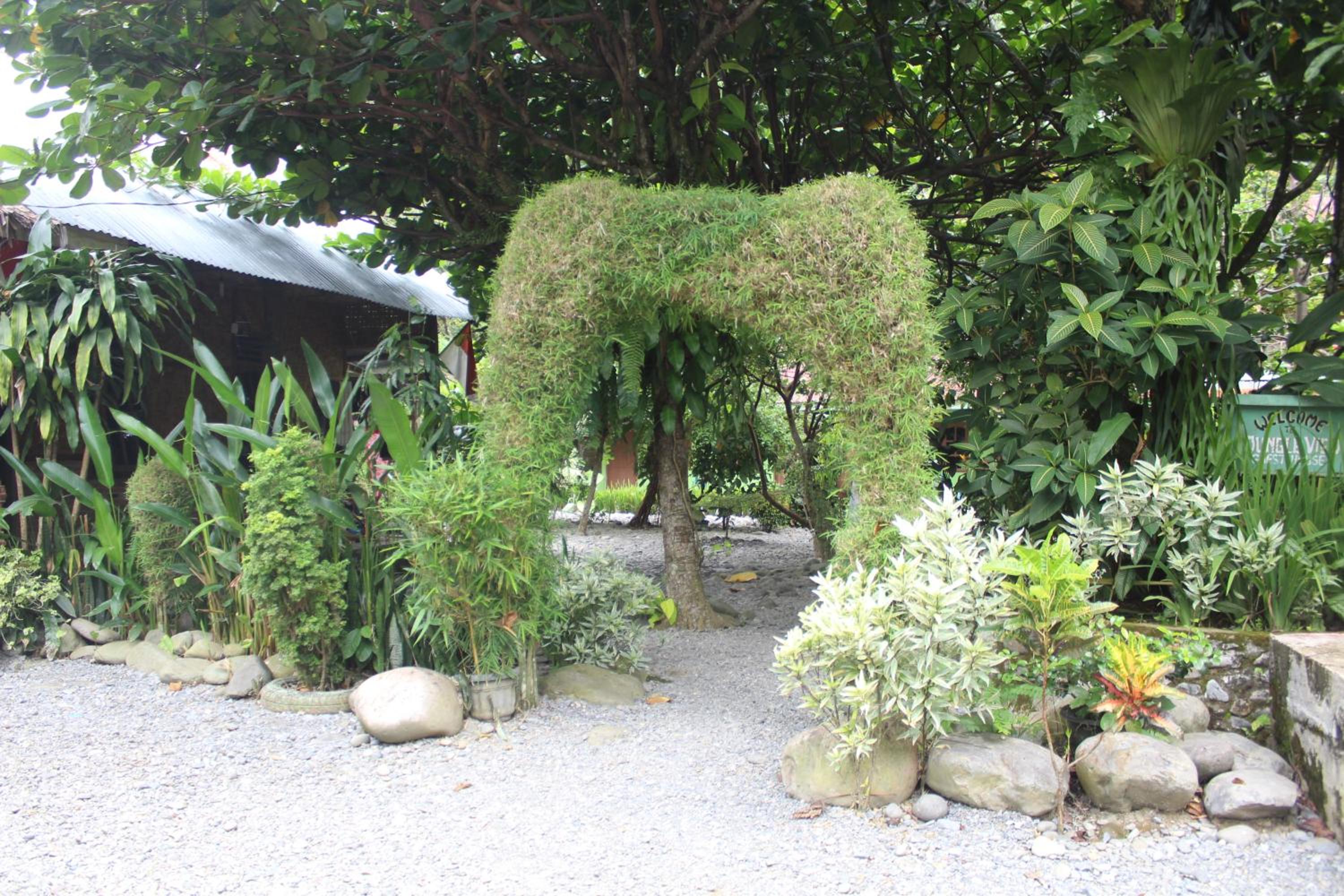 Photo 35