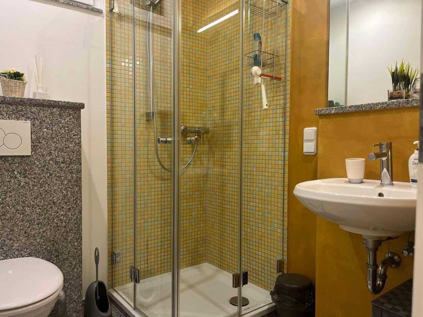 Sinisa Apartman Vir