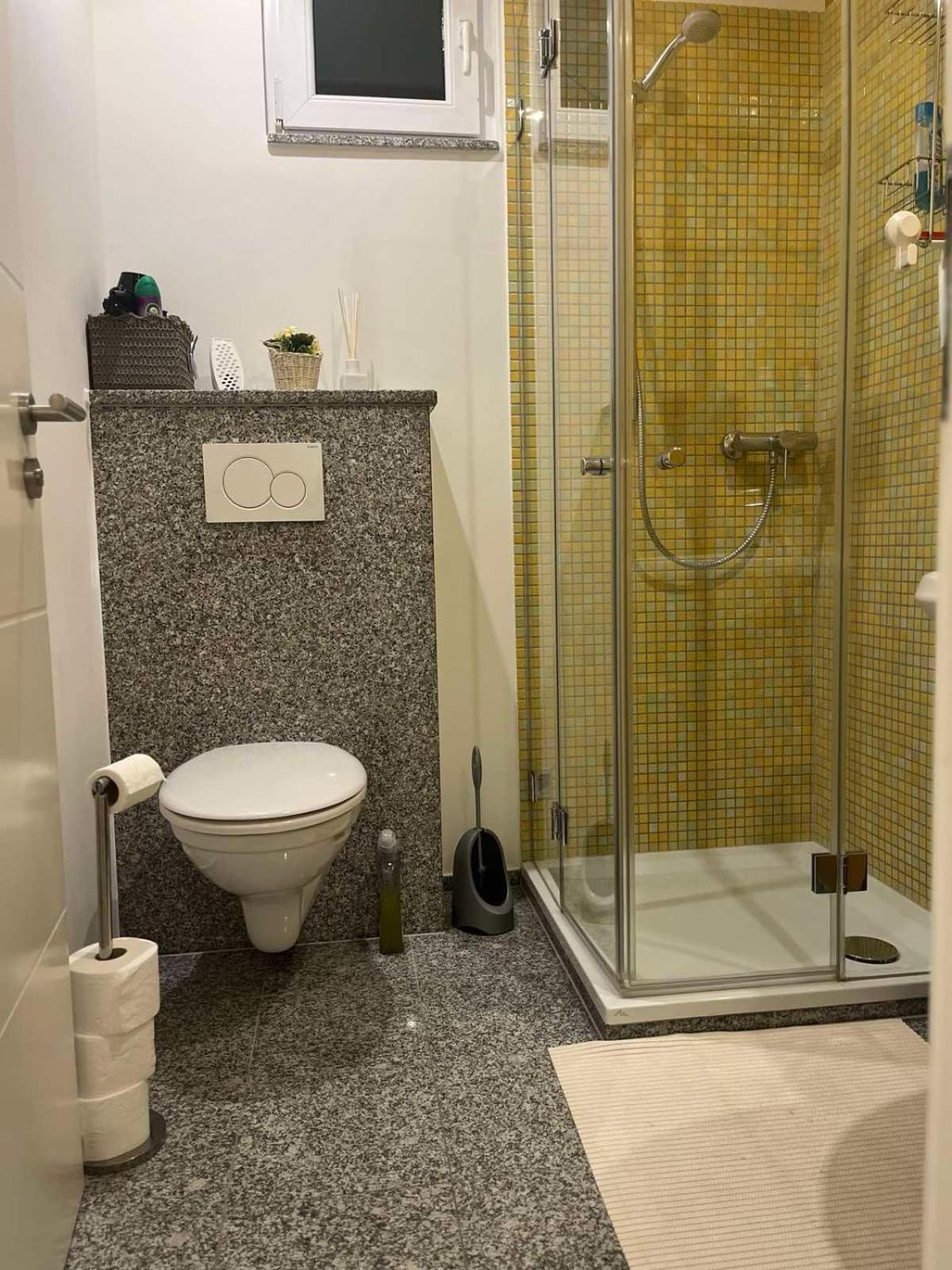 Sinisa Apartman Vir