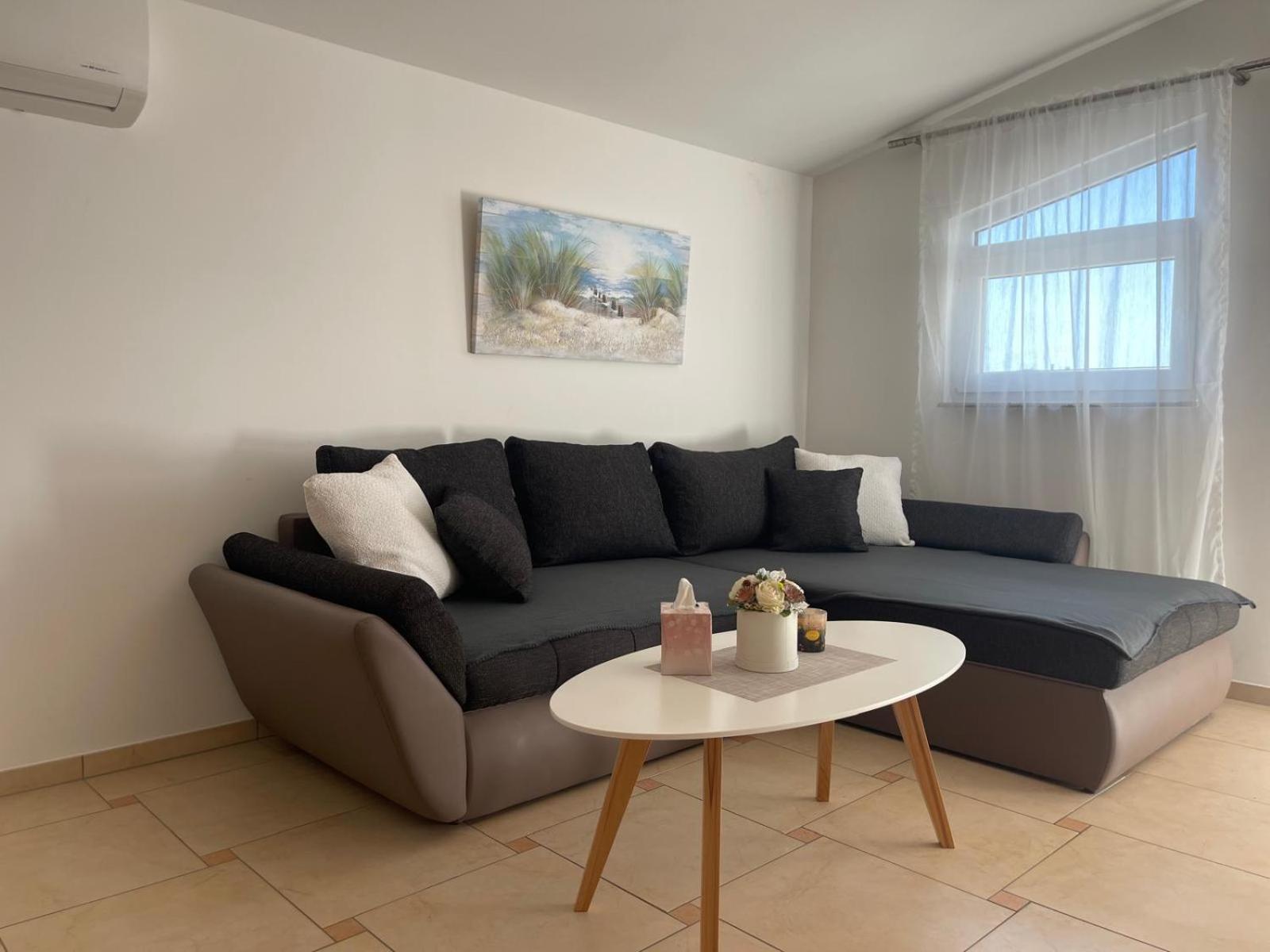 Sinisa Apartman Vir