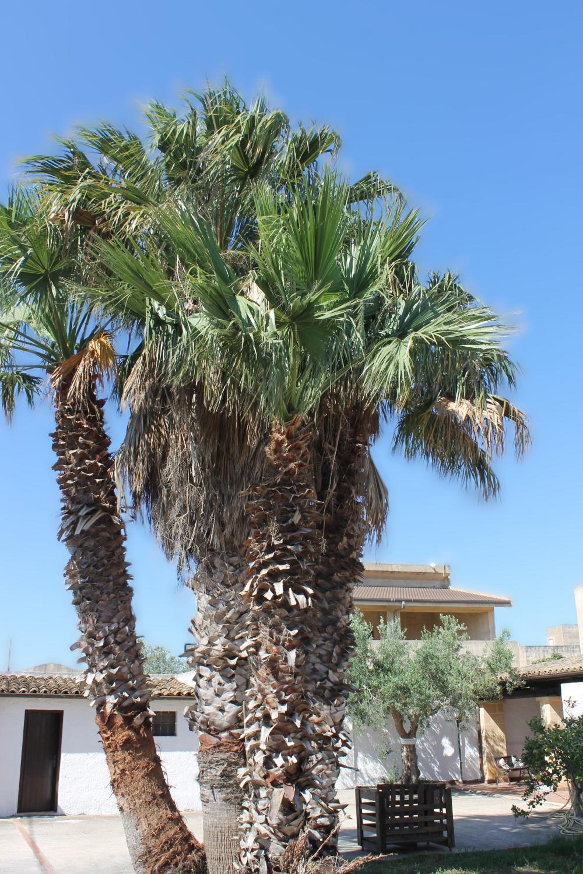 La casa di Zoe photo 5