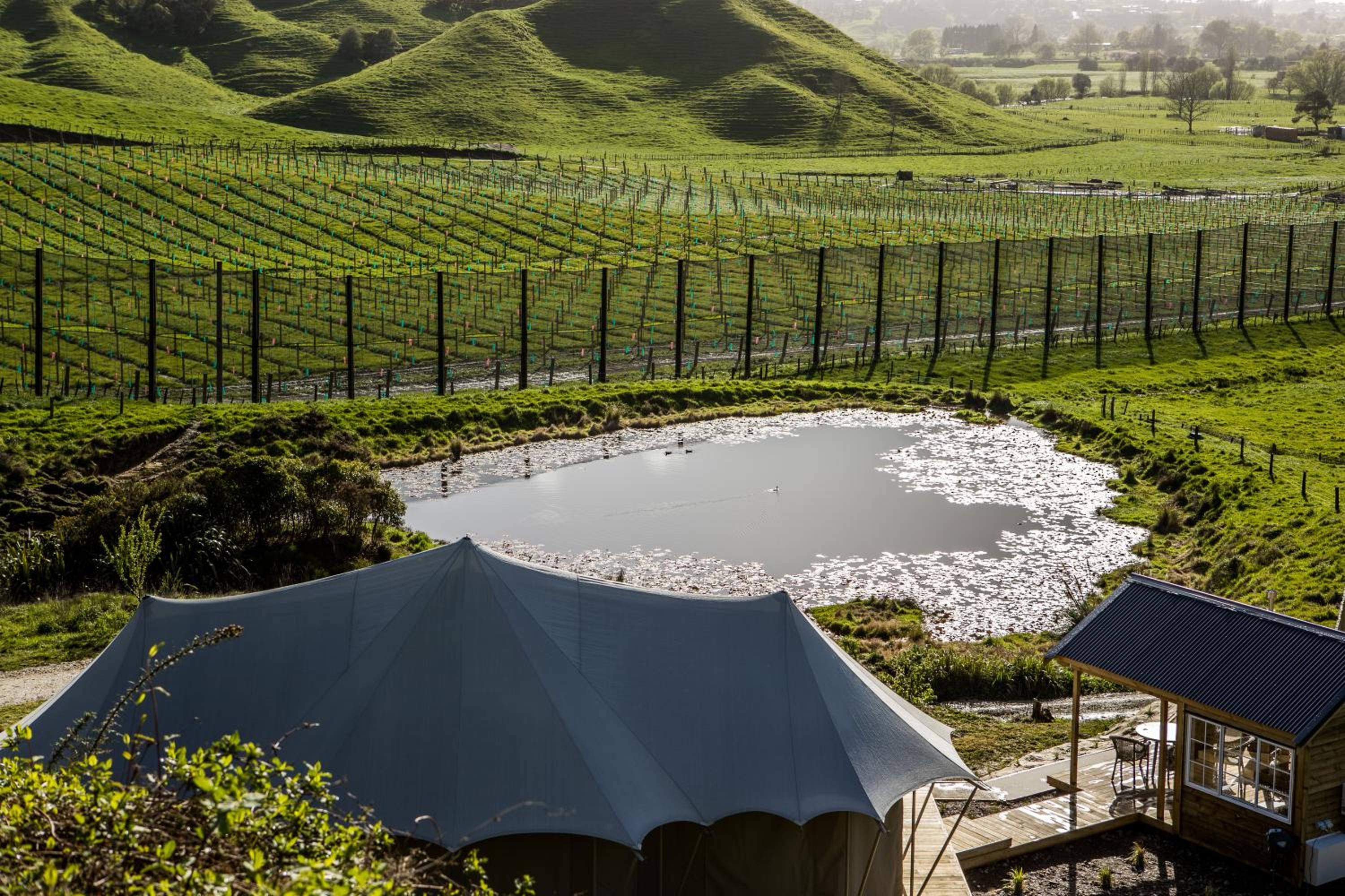 Orchard Valley Glamping view 5