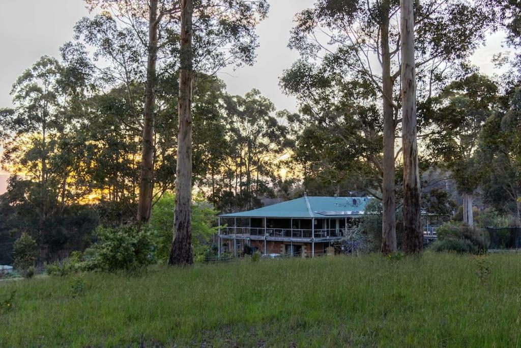 Blue Moon Forest Lodge