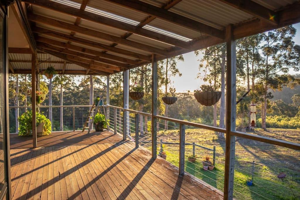 Blue Moon Forest Lodge