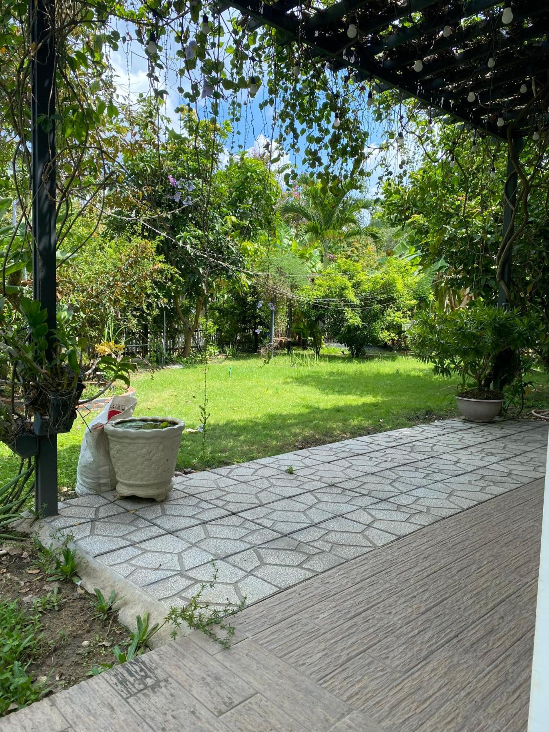Green villa view 5