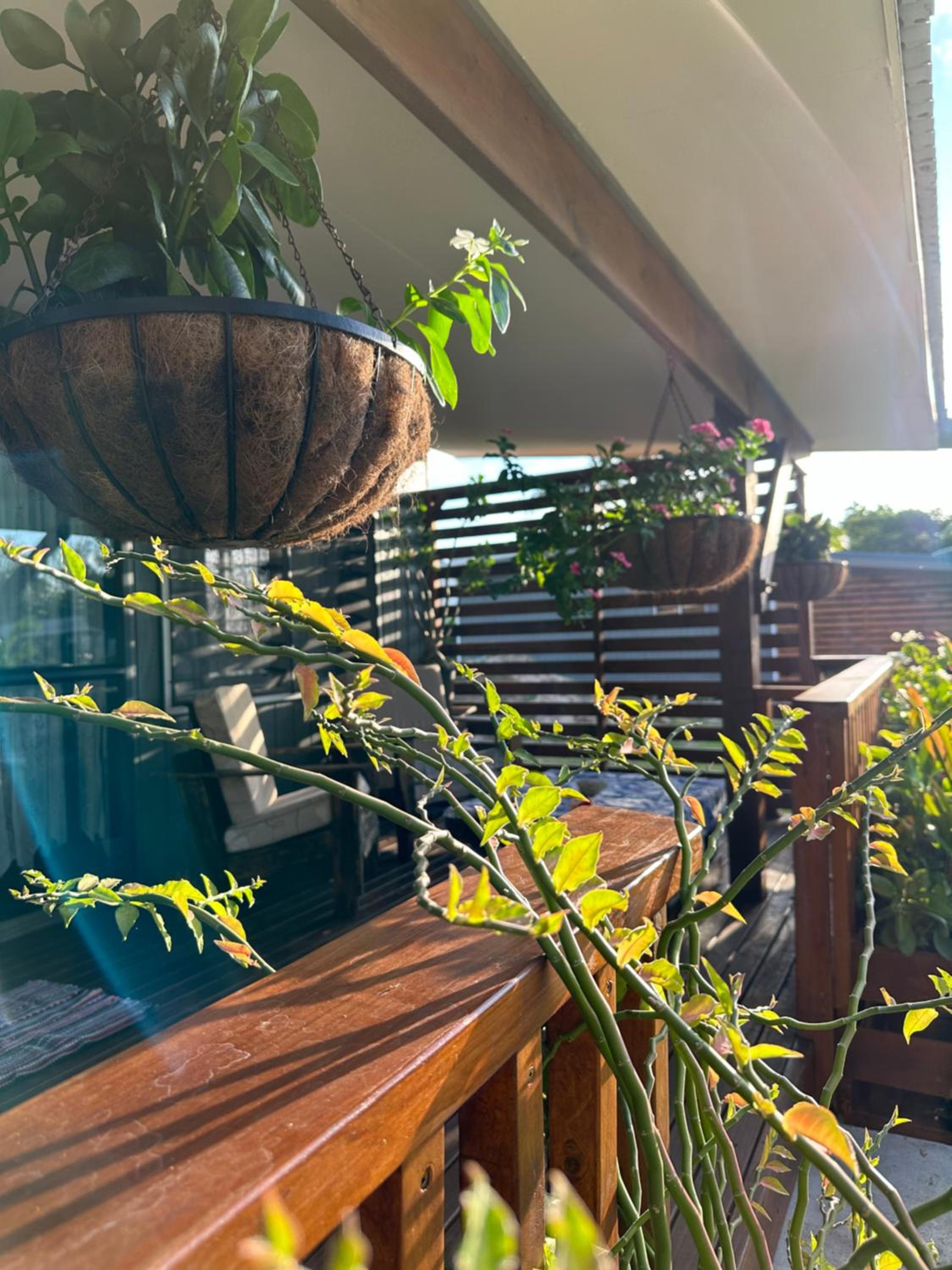Rangiriri Vacay Unit 1
