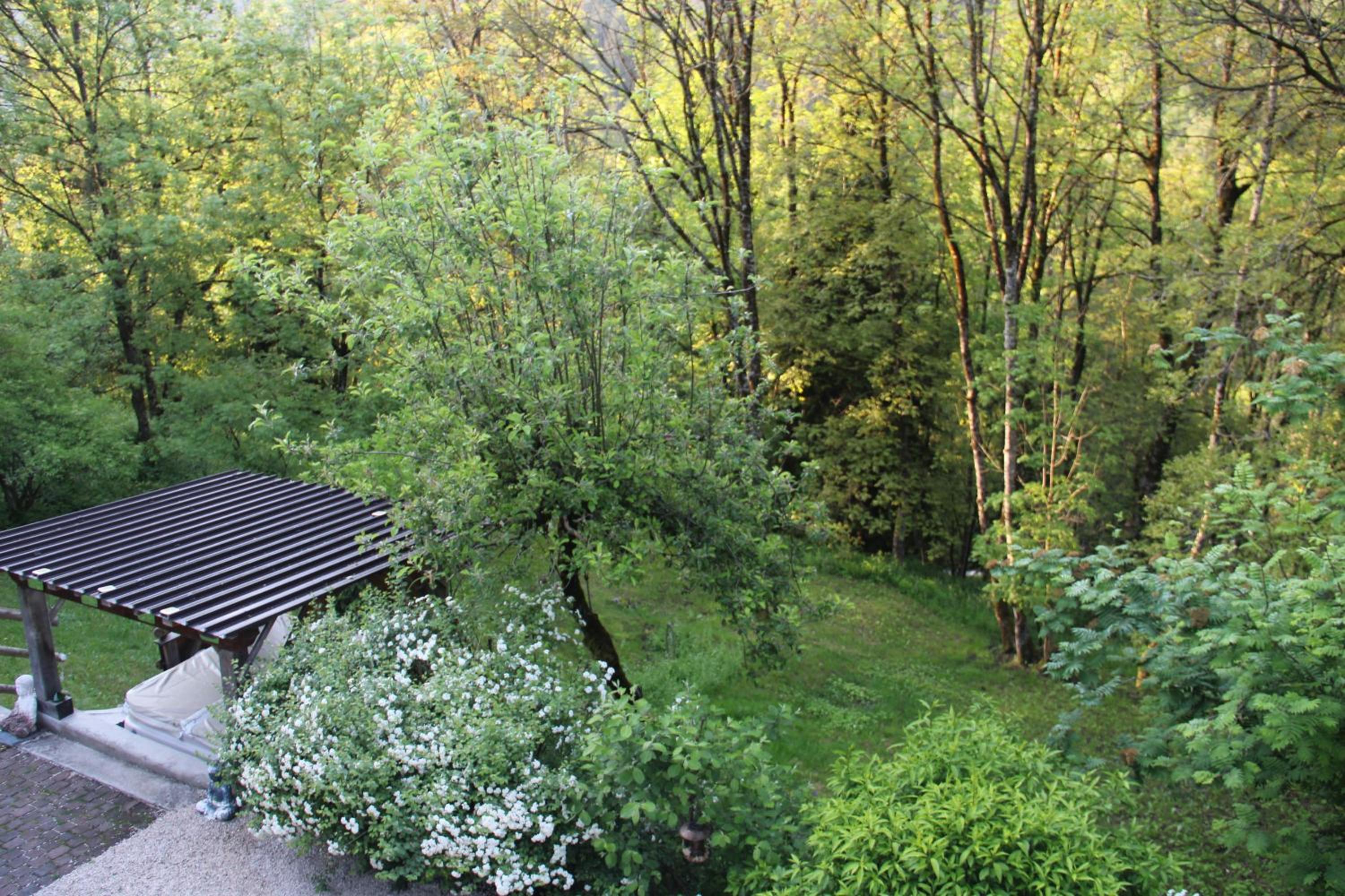 Photo 44