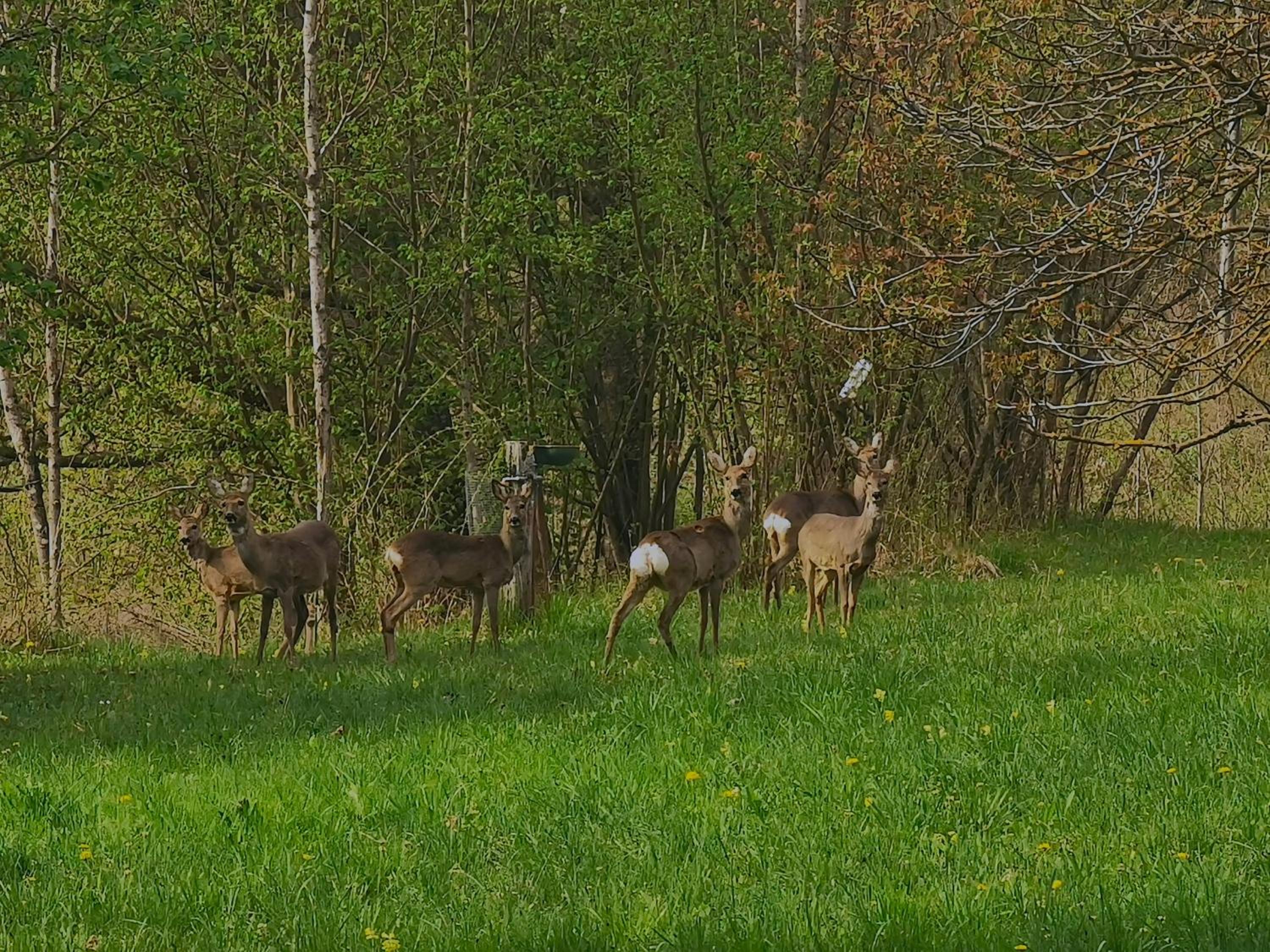 Photo 45