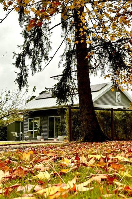 Willow Twig Cottage