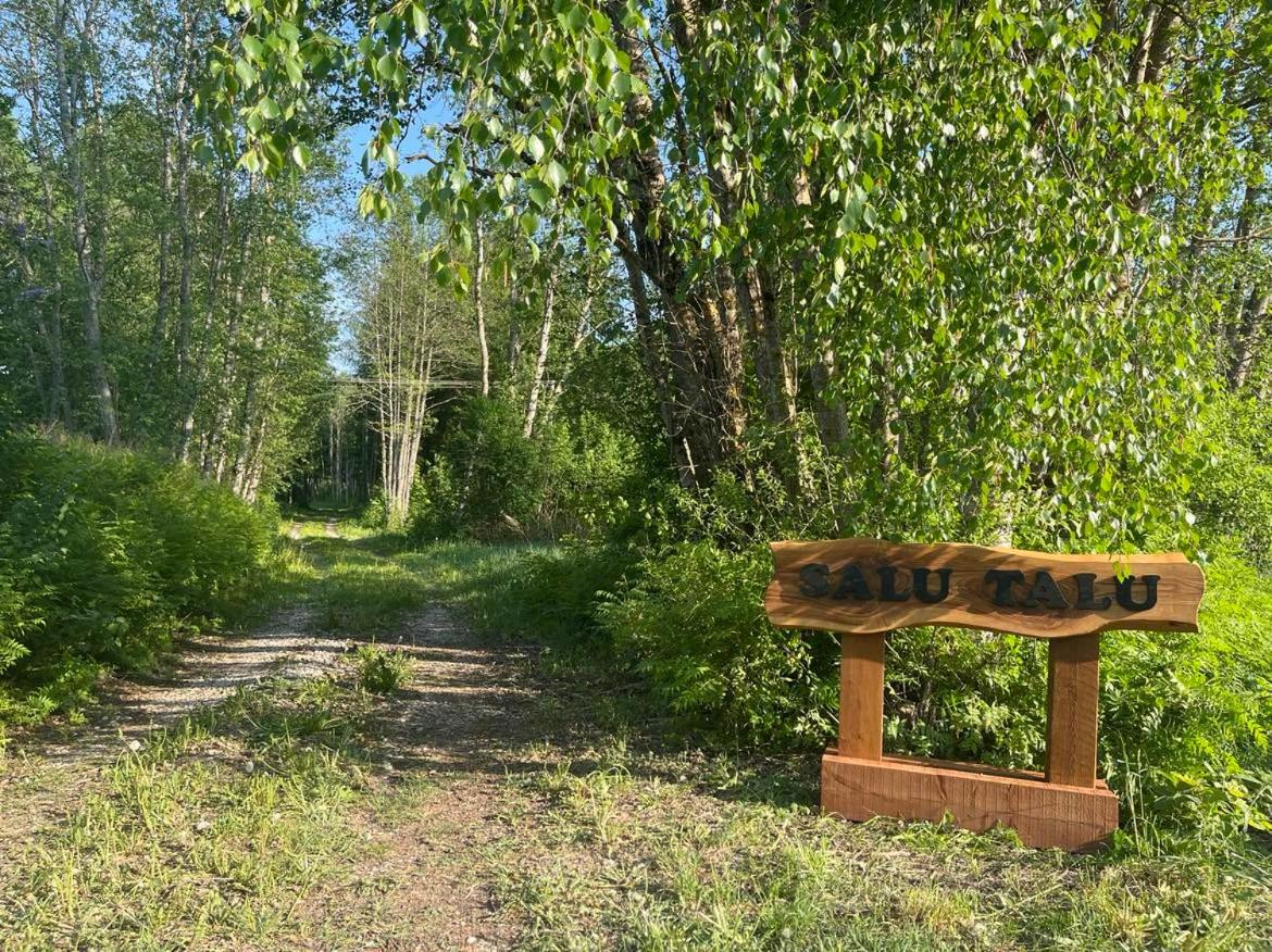 Salu summer cottage