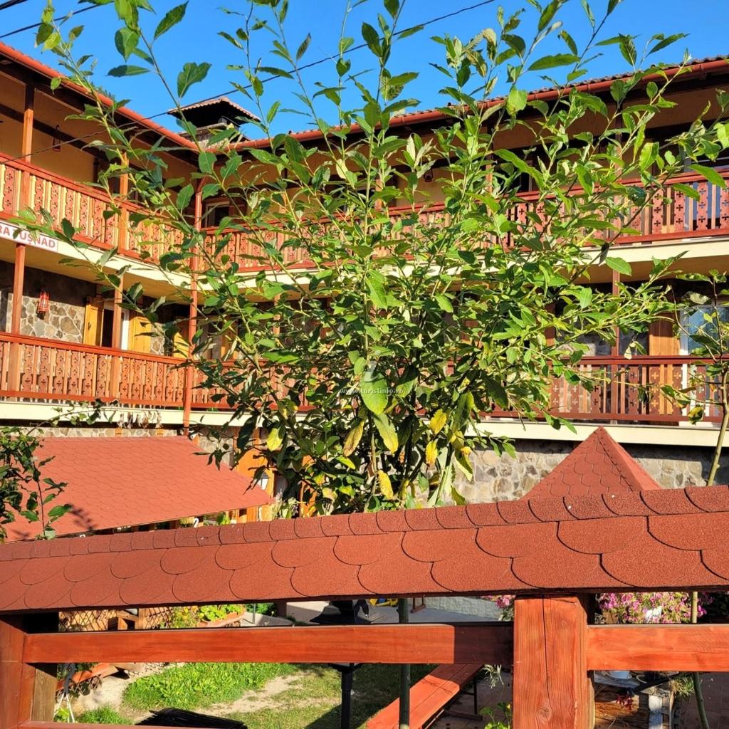 Hotel Natura Tusnad - Image 1