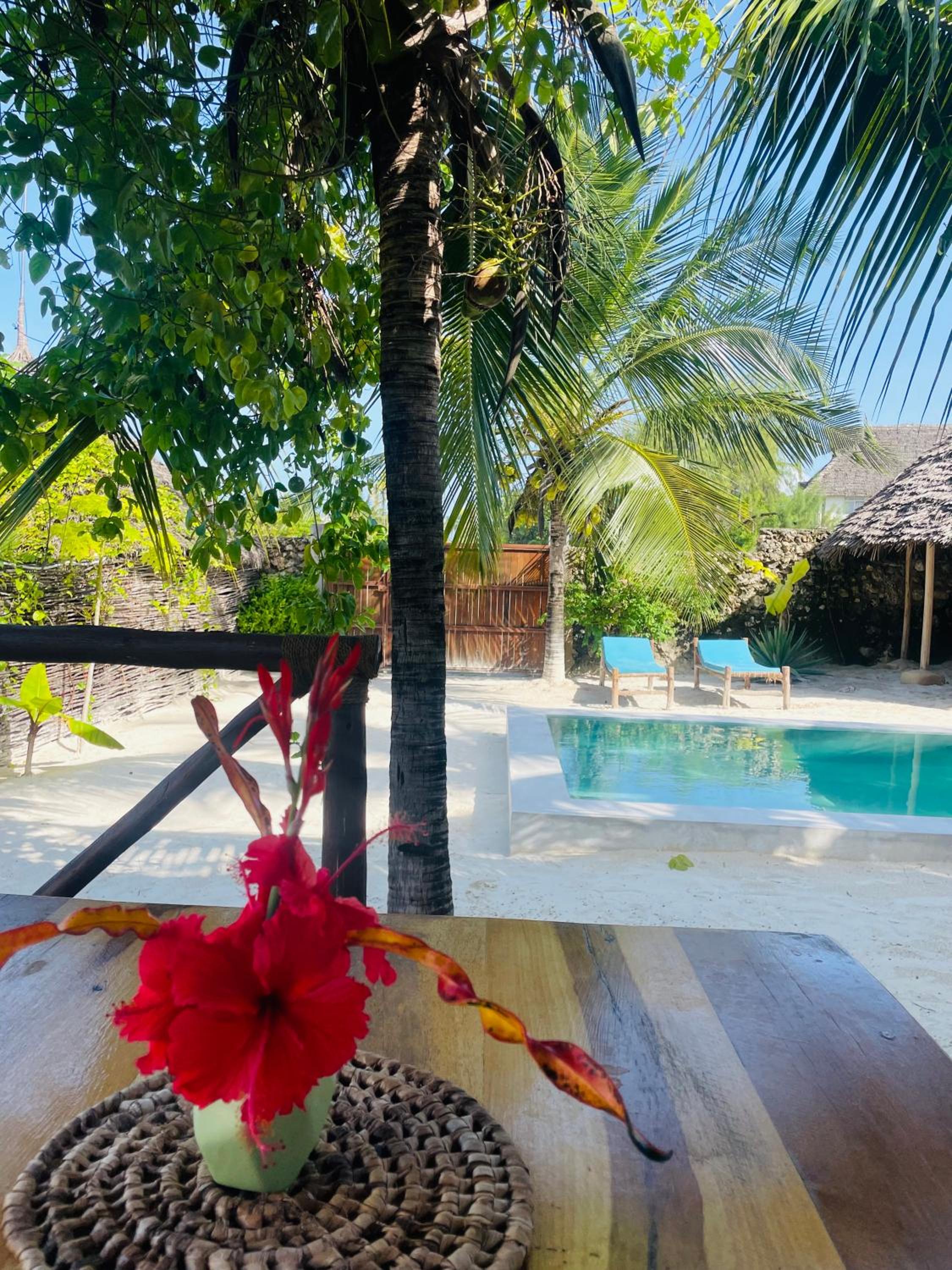 Sand Beach Boutique Apartments