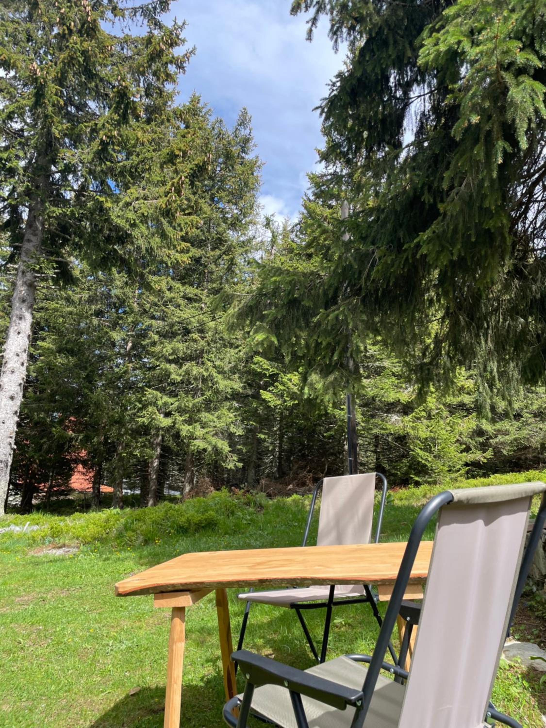 Zeleni chill view 4