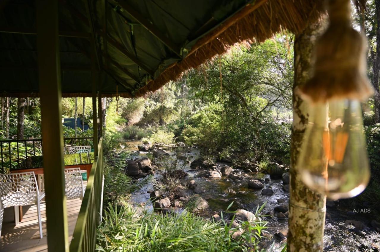 BLUE CREEK Pool property