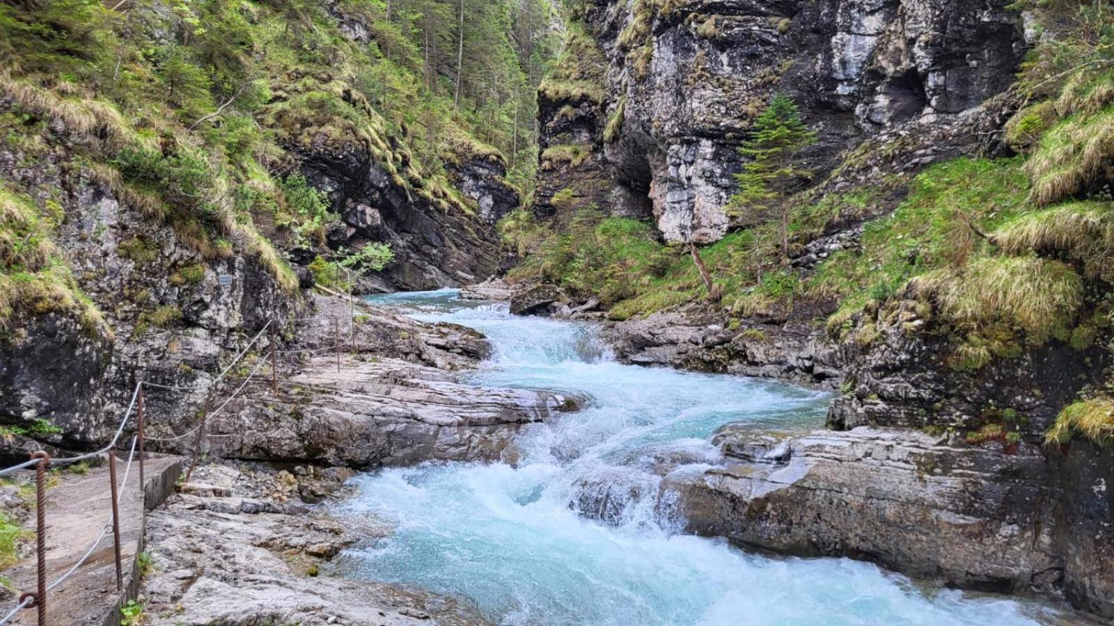 Almtraum Berwang