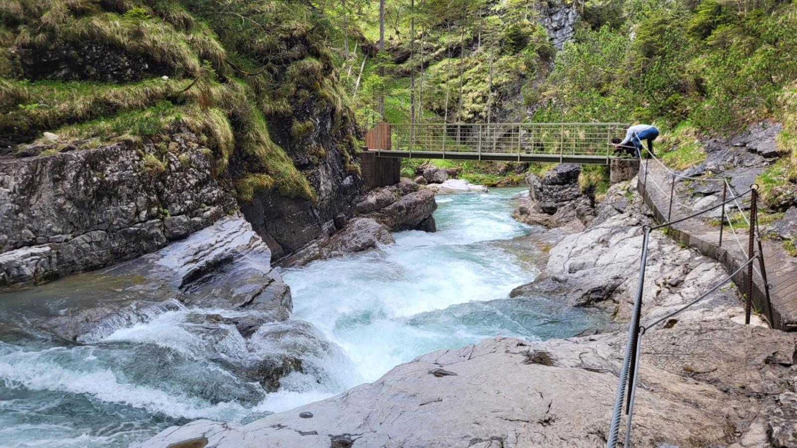 Almtraum Berwang
