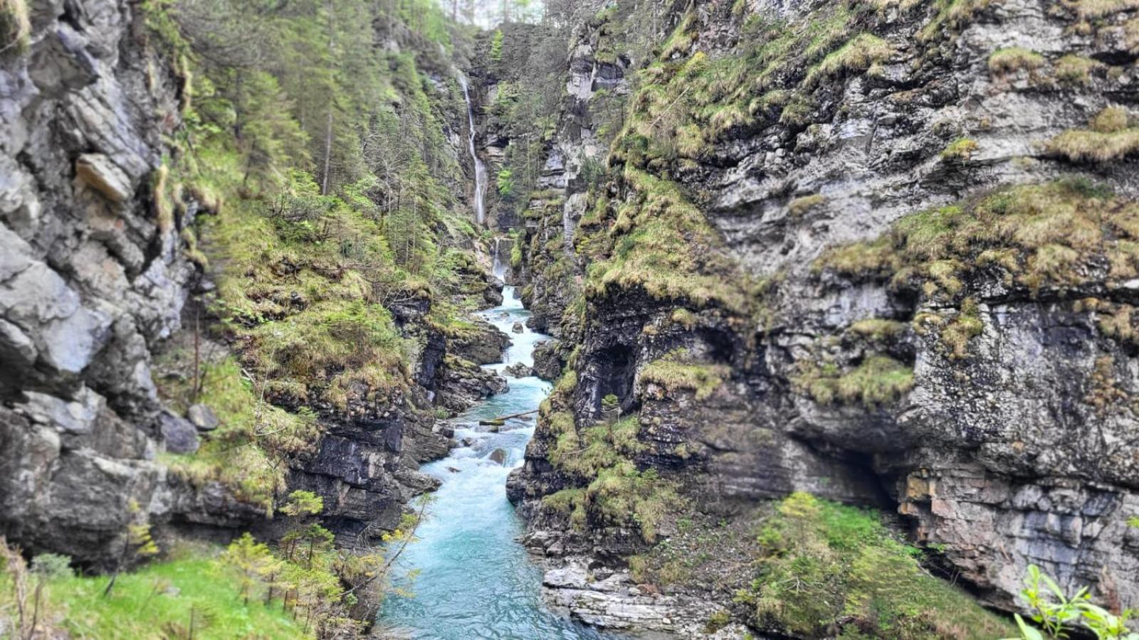 Almtraum Berwang
