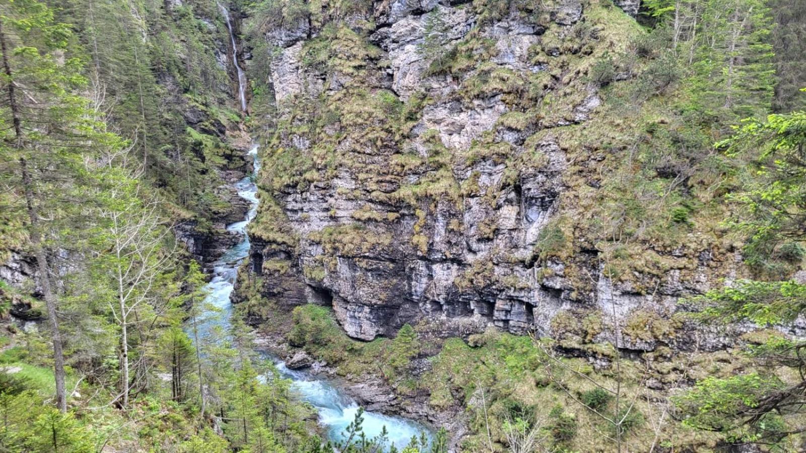 Almtraum Berwang