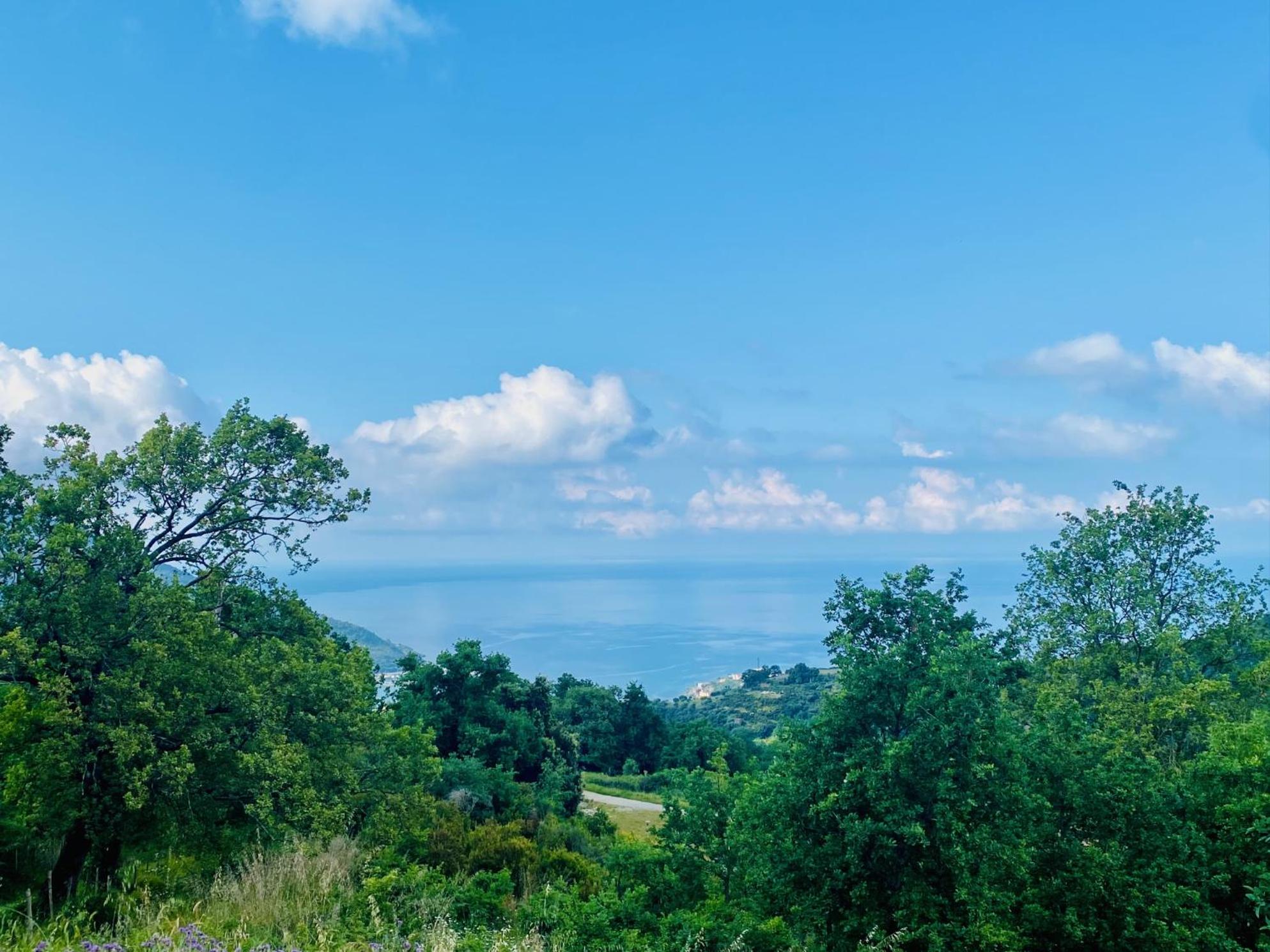 Agros